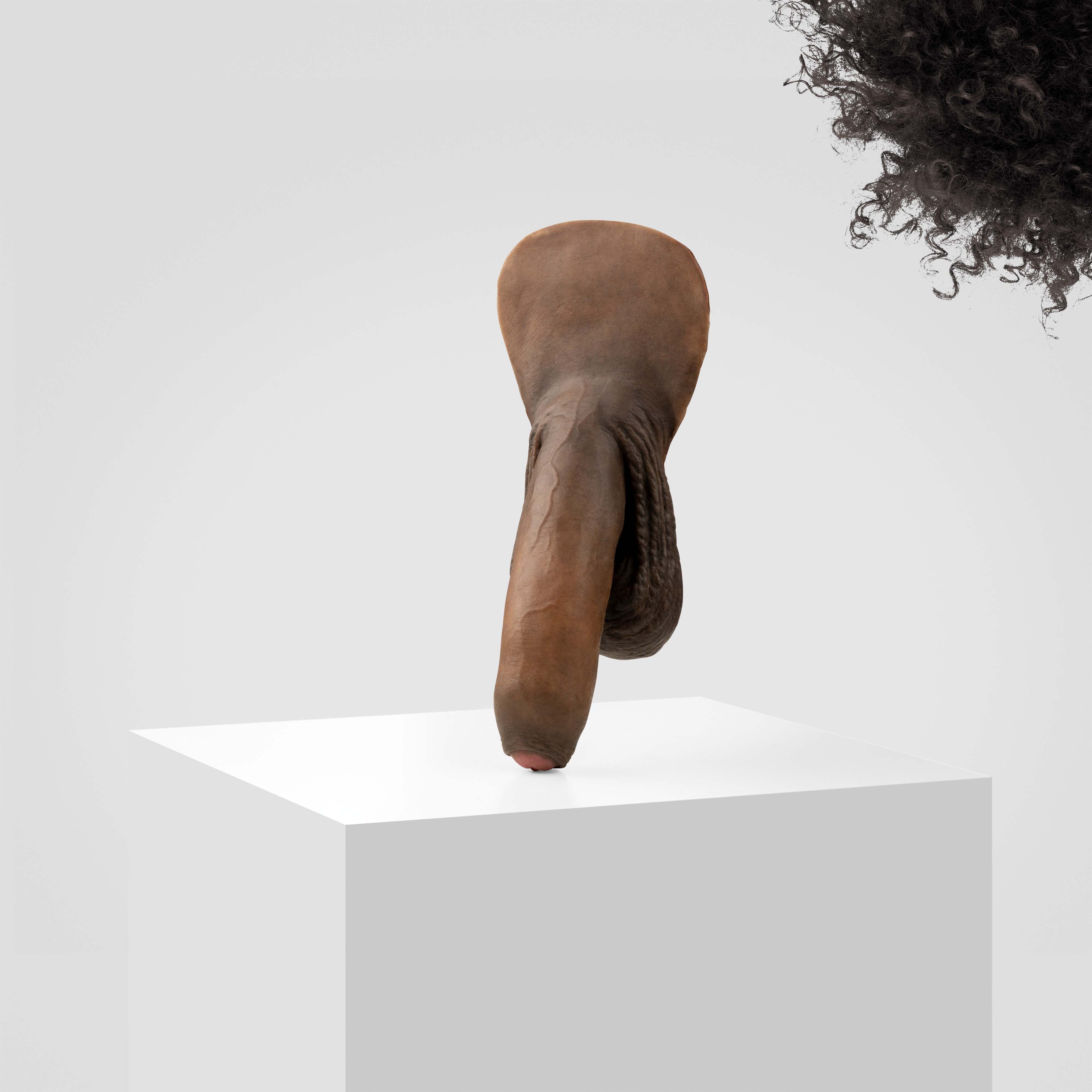 Emisil FL11 | Realistic Uncut FTM Packing Model - Image 175