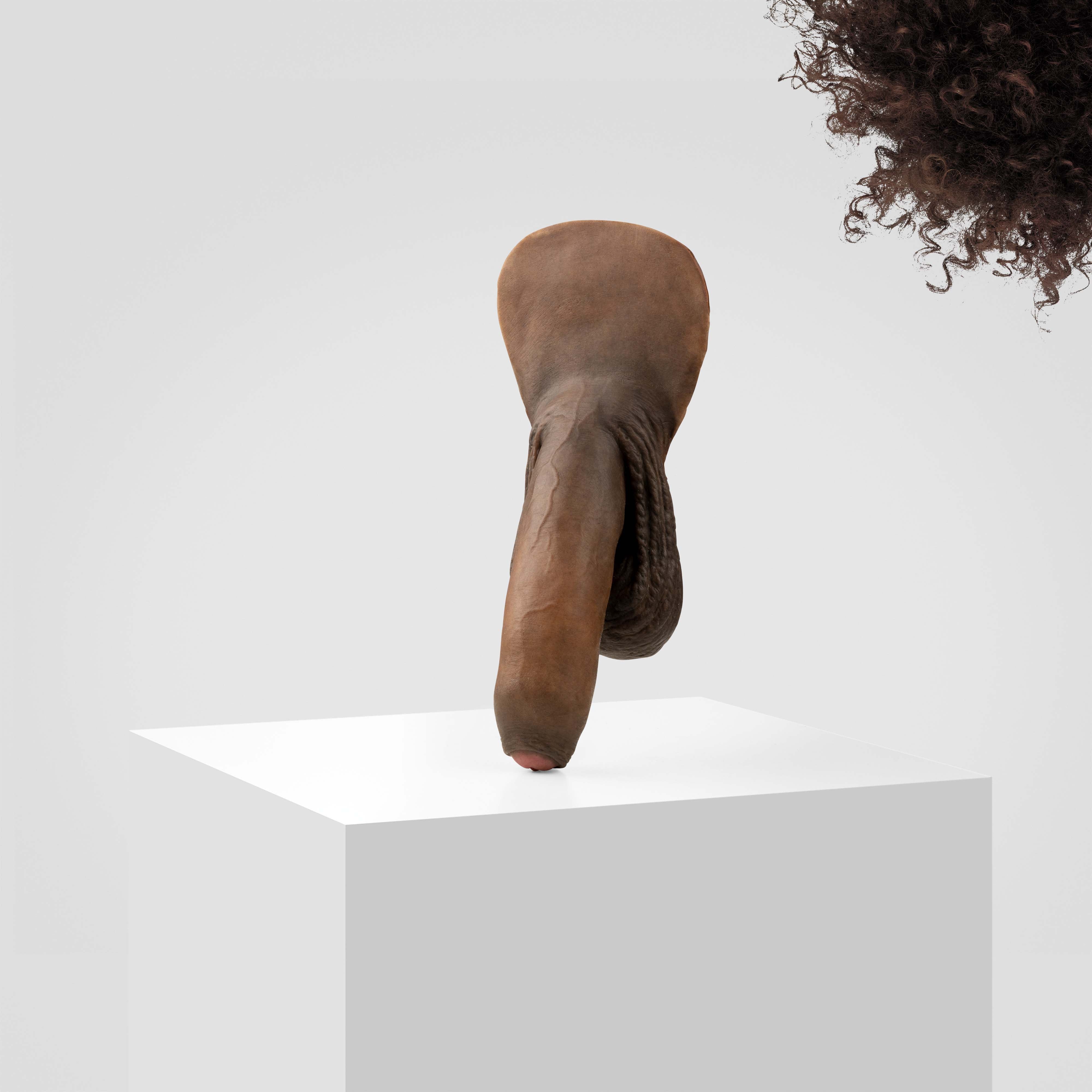 Emisil FL11 | Realistic Uncut FTM Packing Model - Image 176