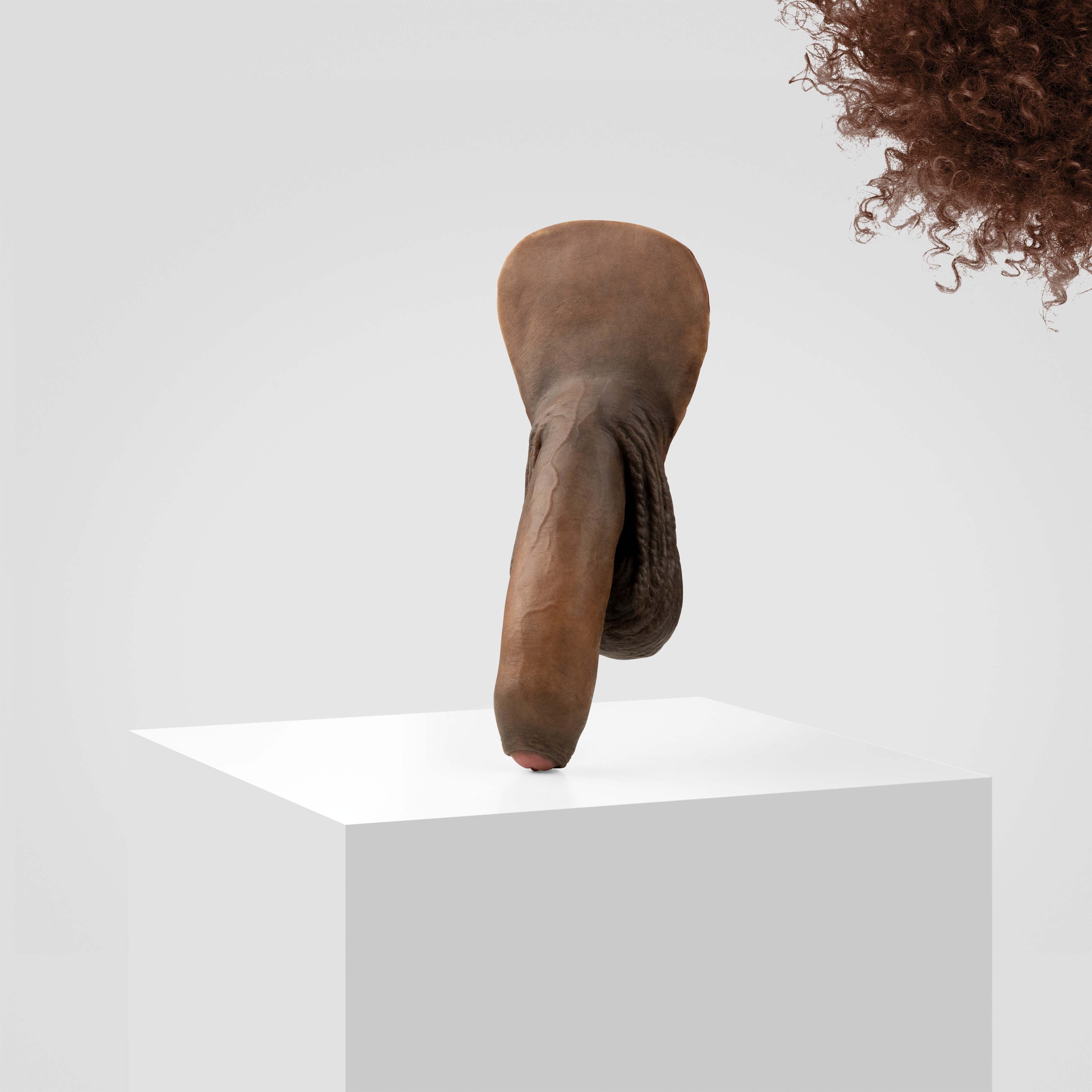 Emisil FL11 | Realistic Uncut FTM Packing Model - Image 177