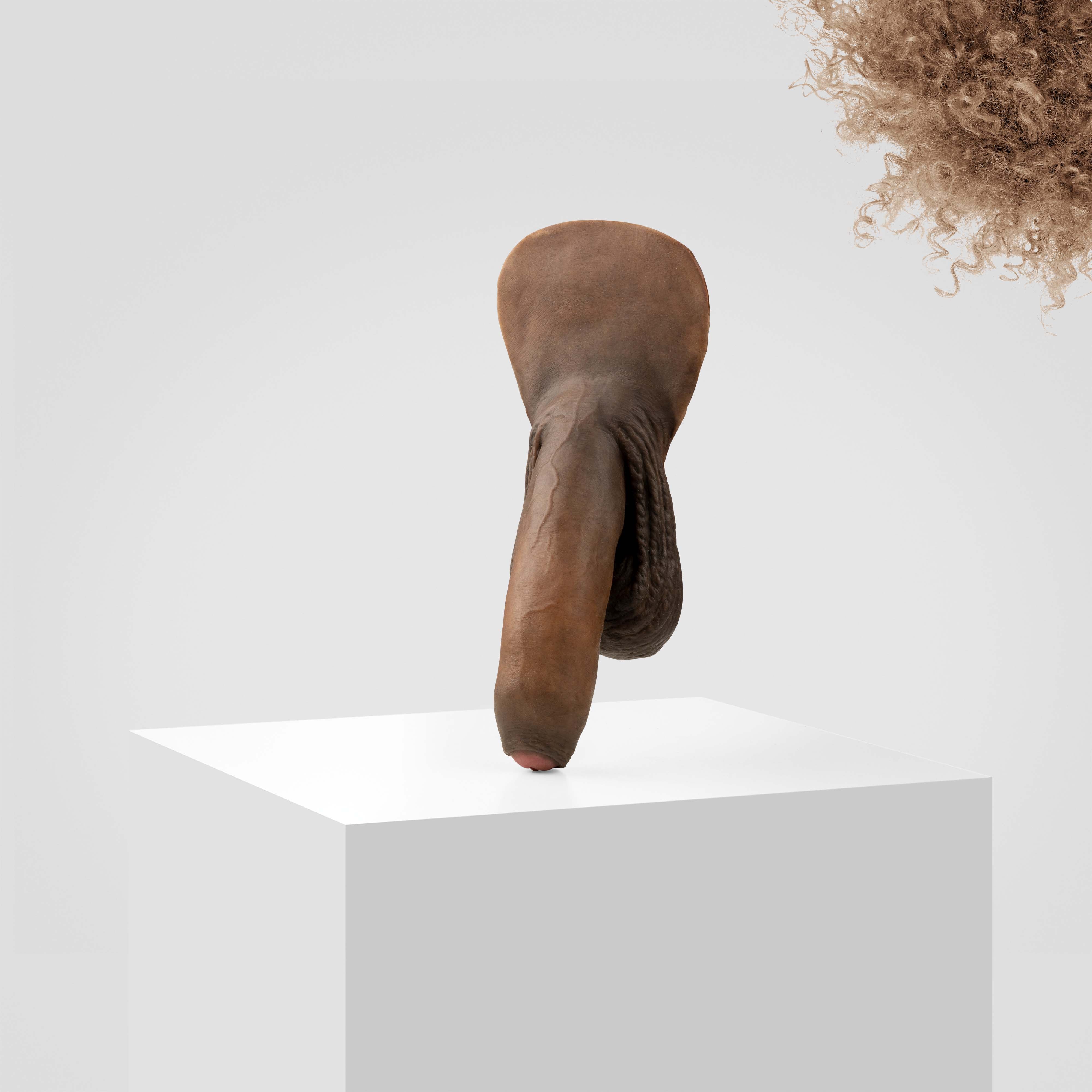 Emisil FL11 | Realistic Uncut FTM Packing Model - Image 178