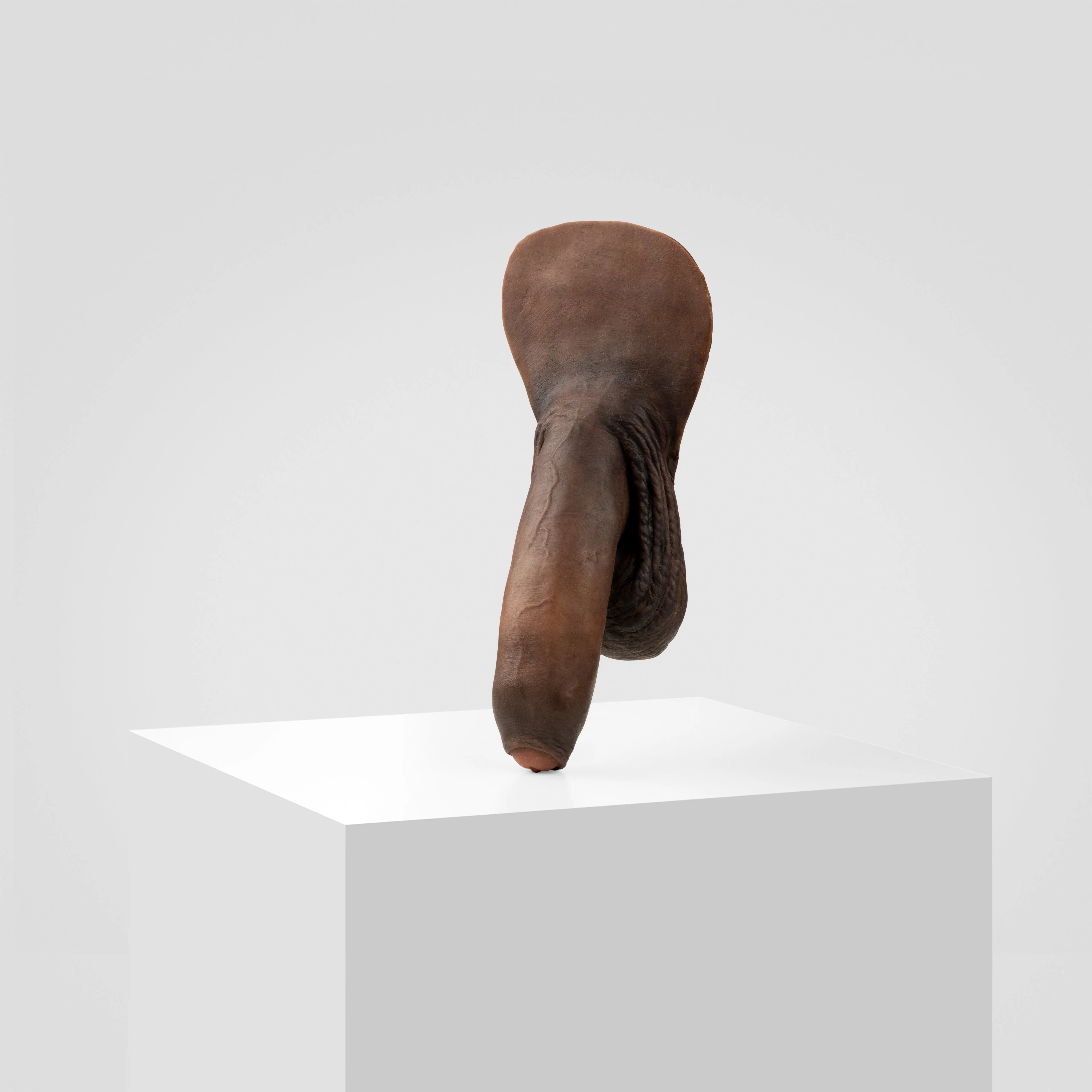Emisil FL11 | Realistic Uncut FTM Packing Model - Image 180