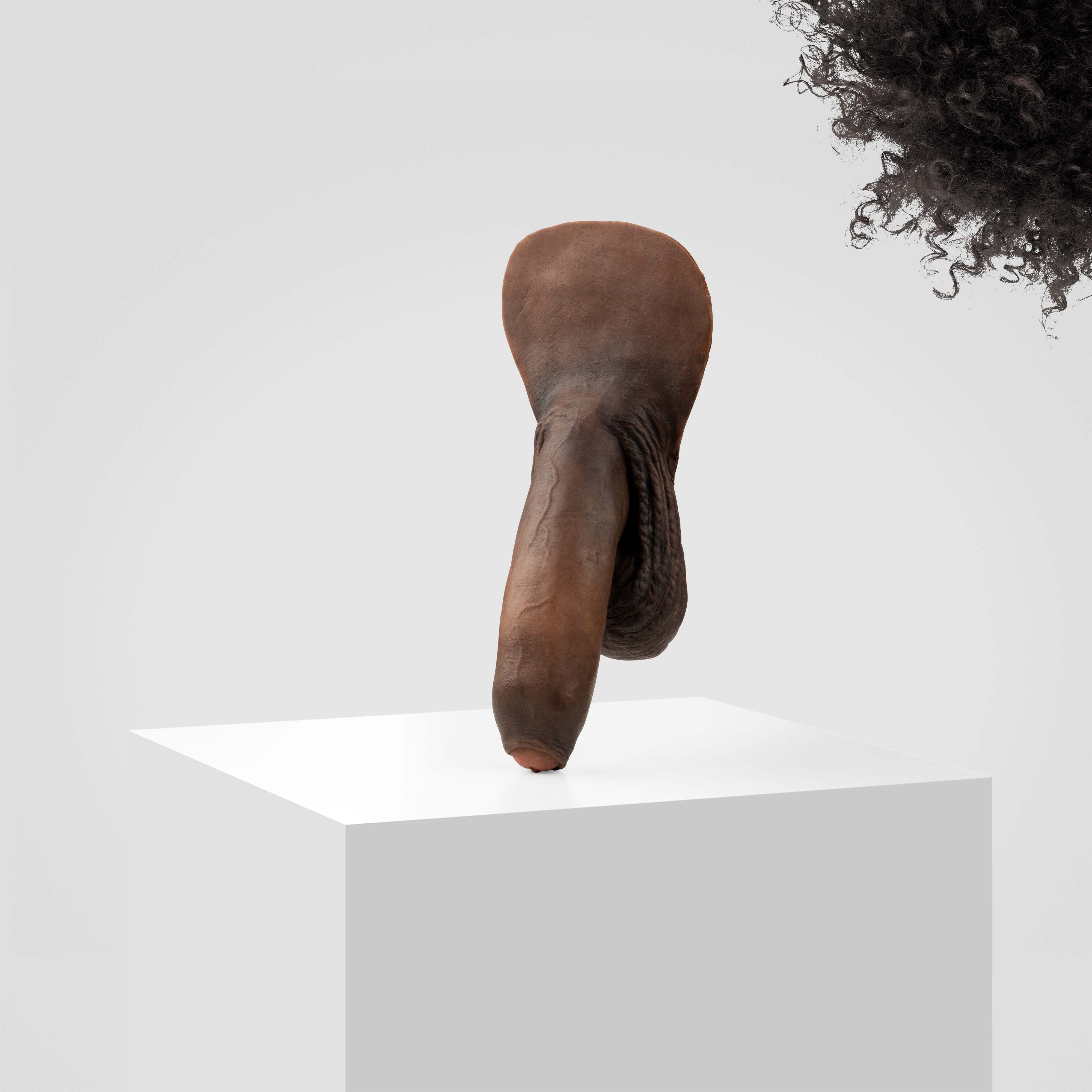 Emisil FL11 | Realistic Uncut FTM Packing Model - Image 181
