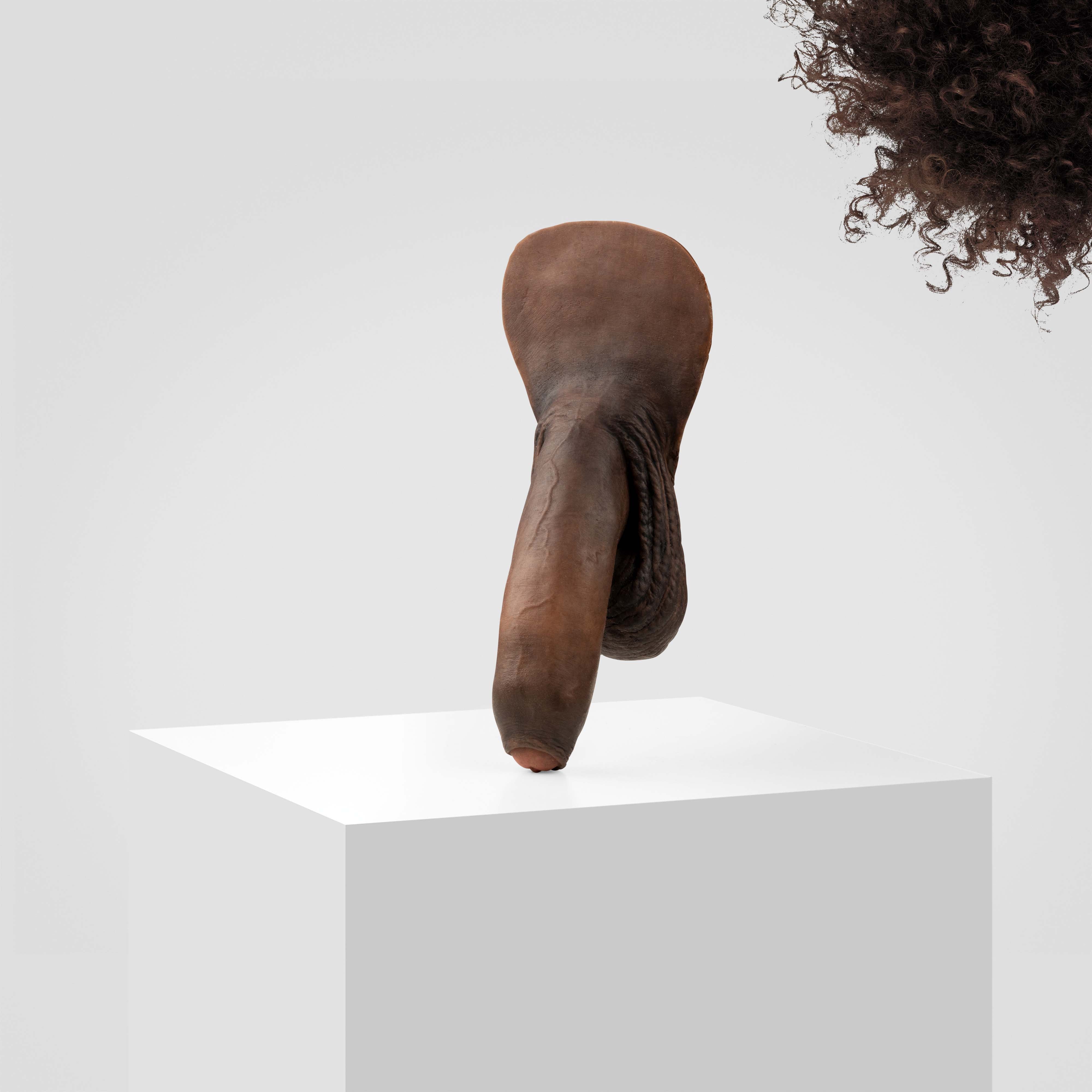Emisil FL11 | Realistic Uncut FTM Packing Model - Image 182