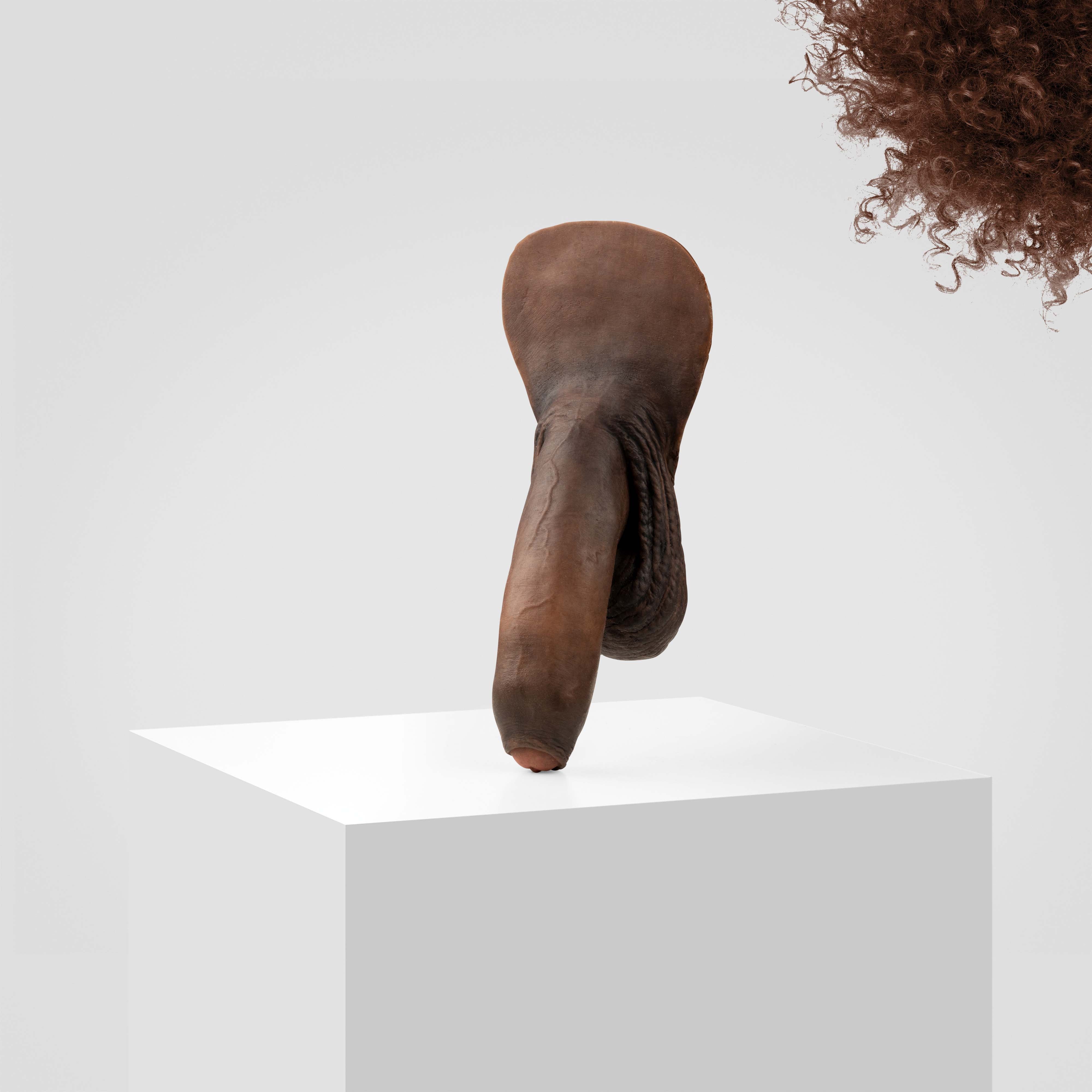 Emisil FL11 | Realistic Uncut FTM Packing Model - Image 183