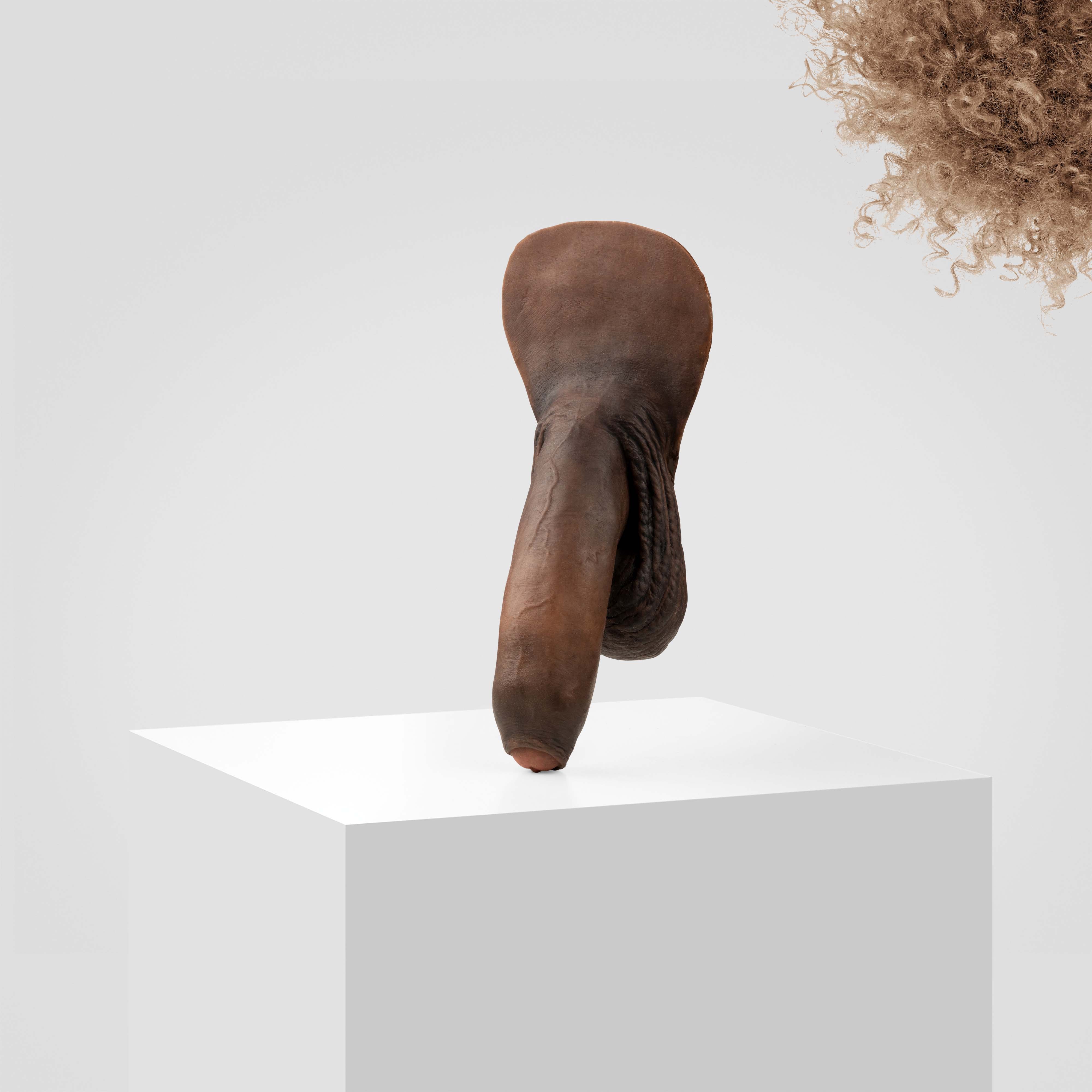Emisil FL11 | Realistic Uncut FTM Packing Model - Image 184