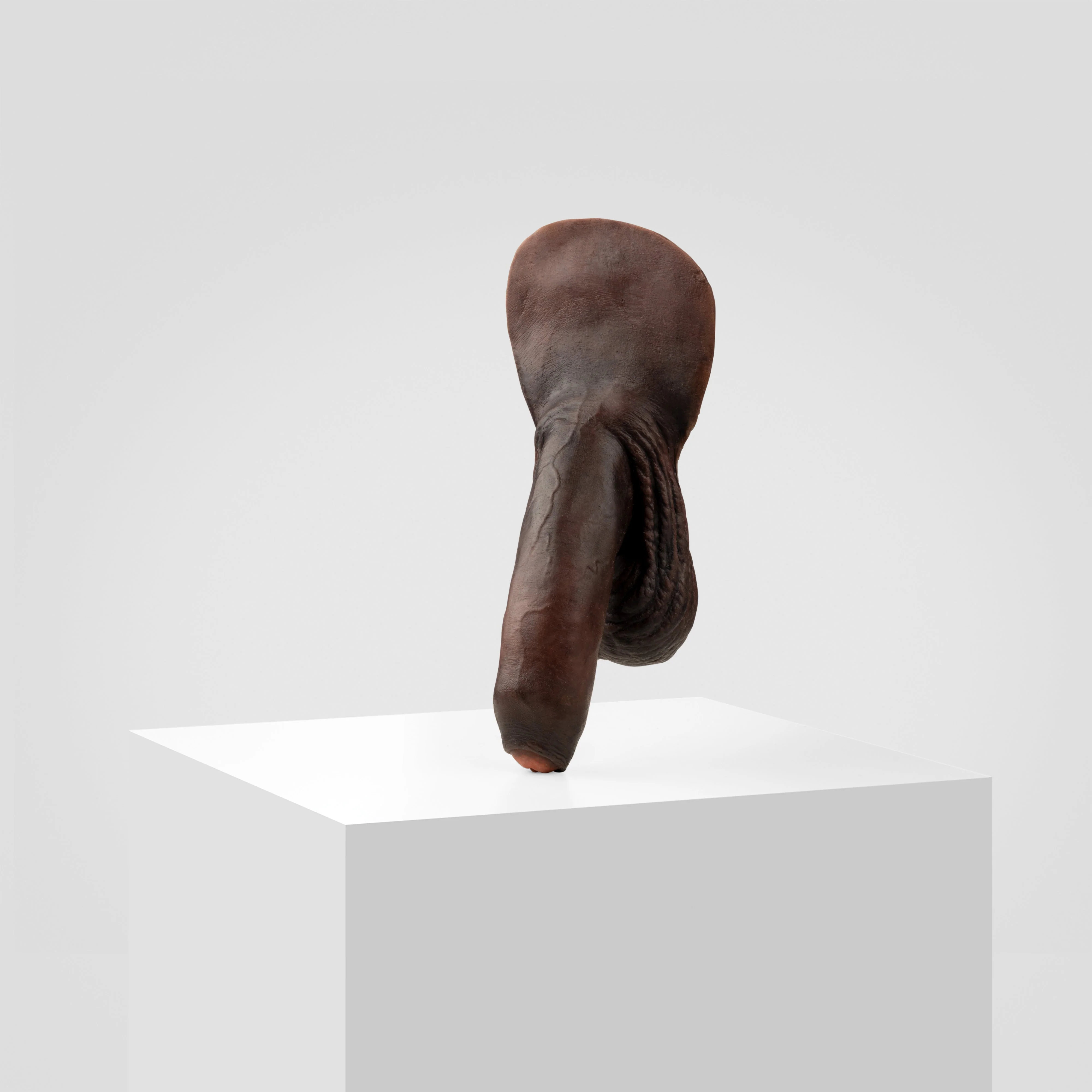 Emisil FL11 | Realistic Uncut FTM Packing Model - Image 186
