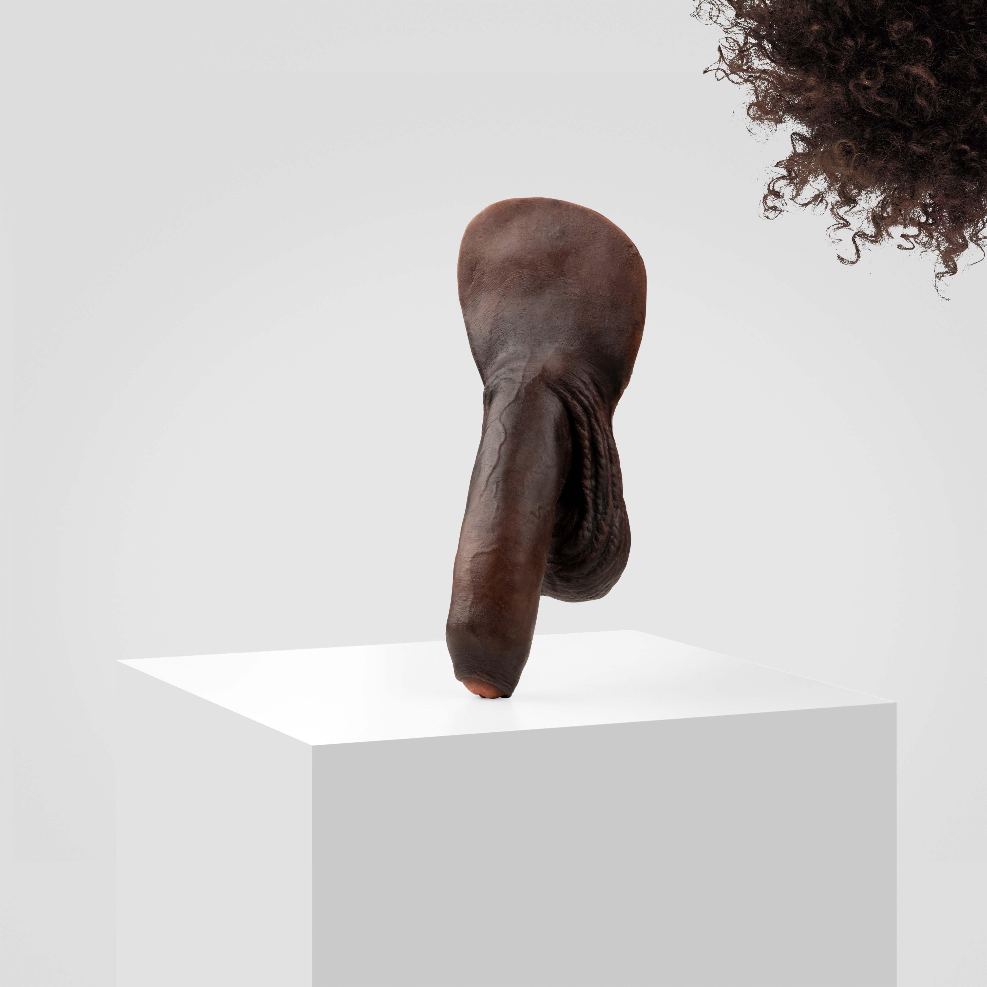 Emisil FL11 | Realistic Uncut FTM Packing Model - Image 188