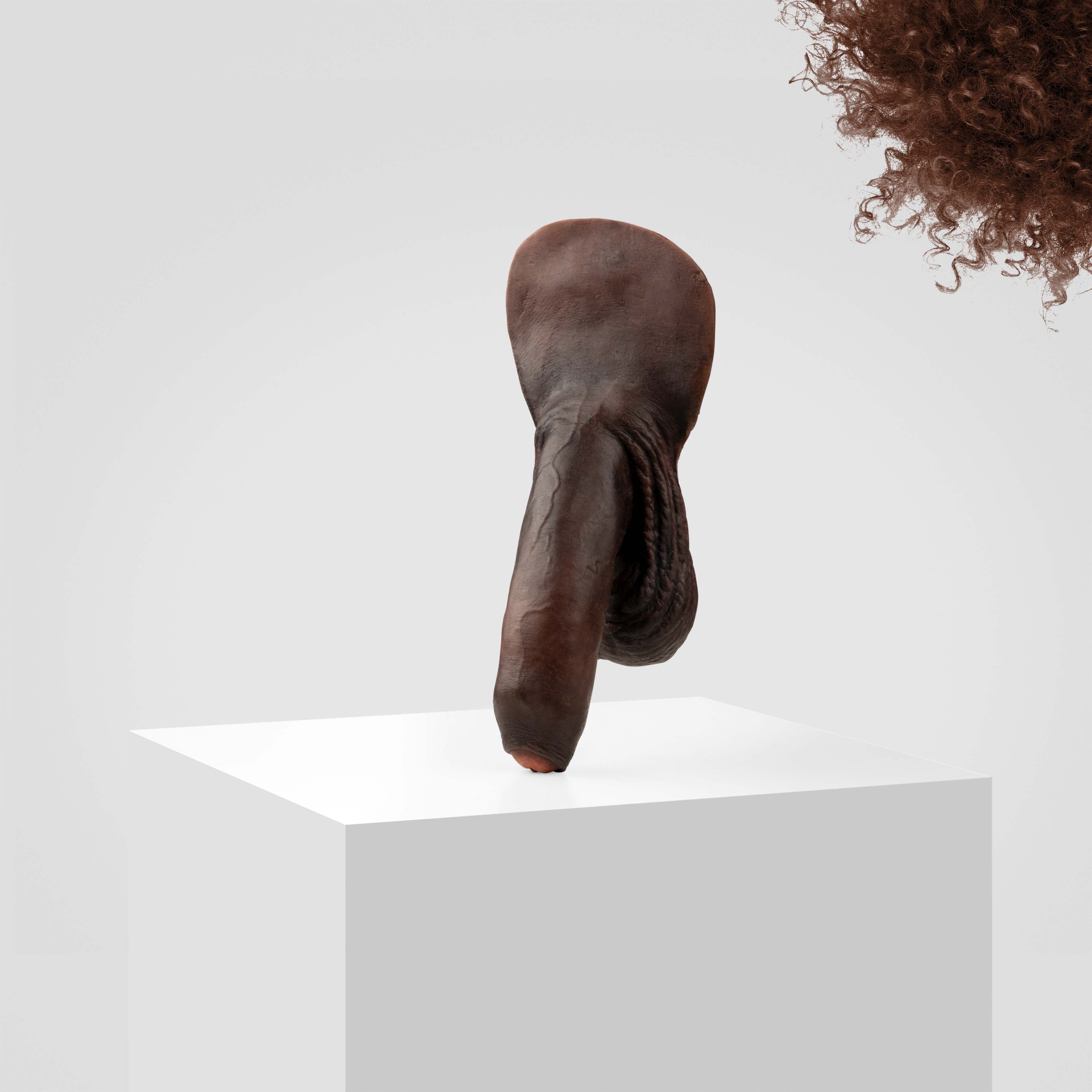 Emisil FL11 | Realistic Uncut FTM Packing Model - Image 189