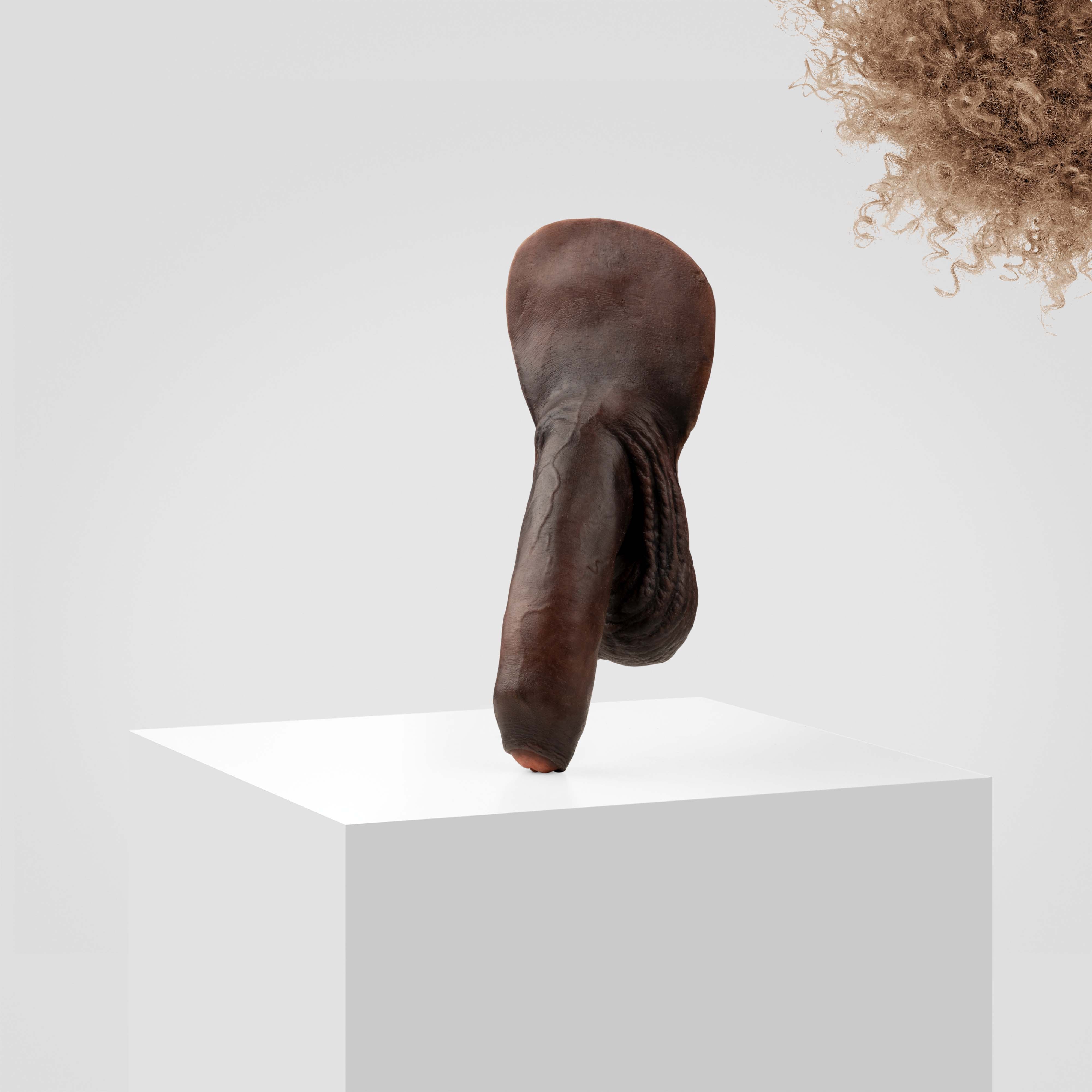 Emisil FL11 | Realistic Uncut FTM Packing Model - Image 190