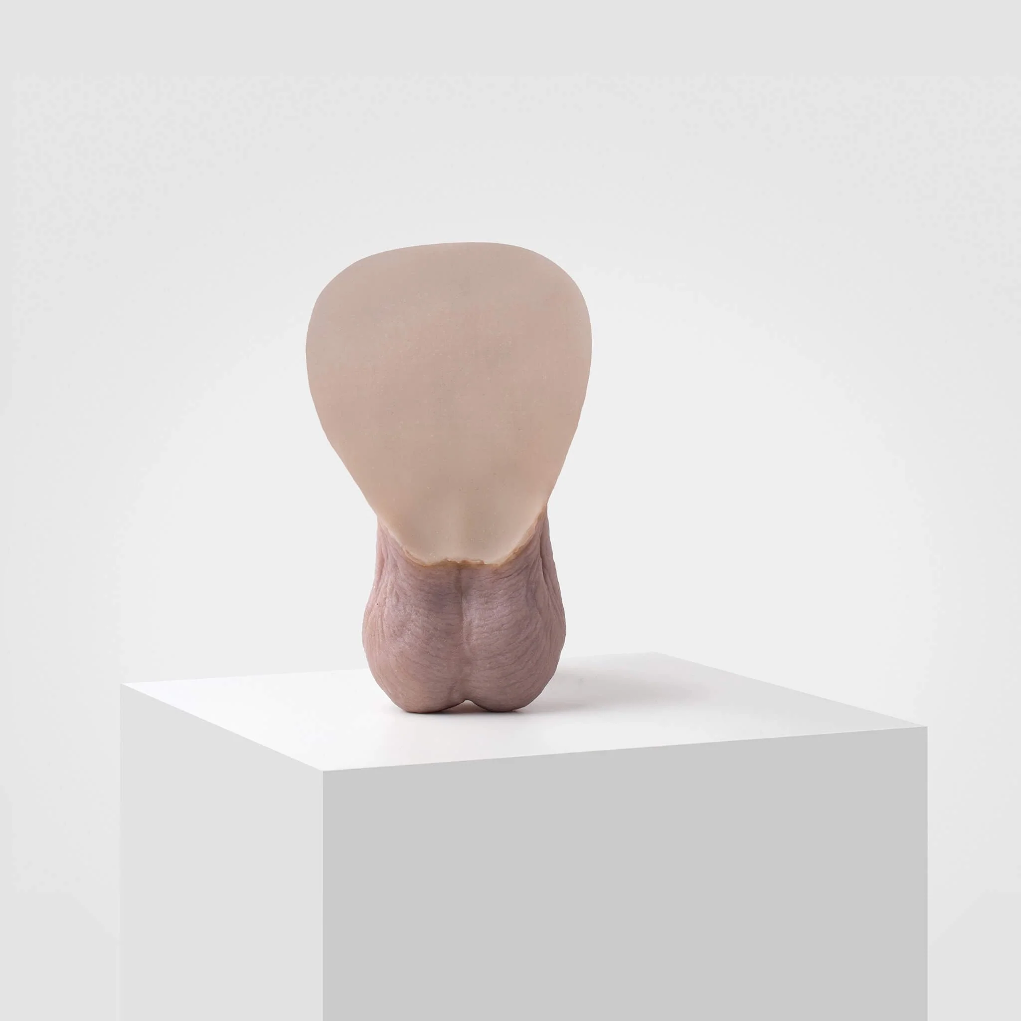 Emisil FL11 | Realistic Uncut FTM Packing Model - Image 4