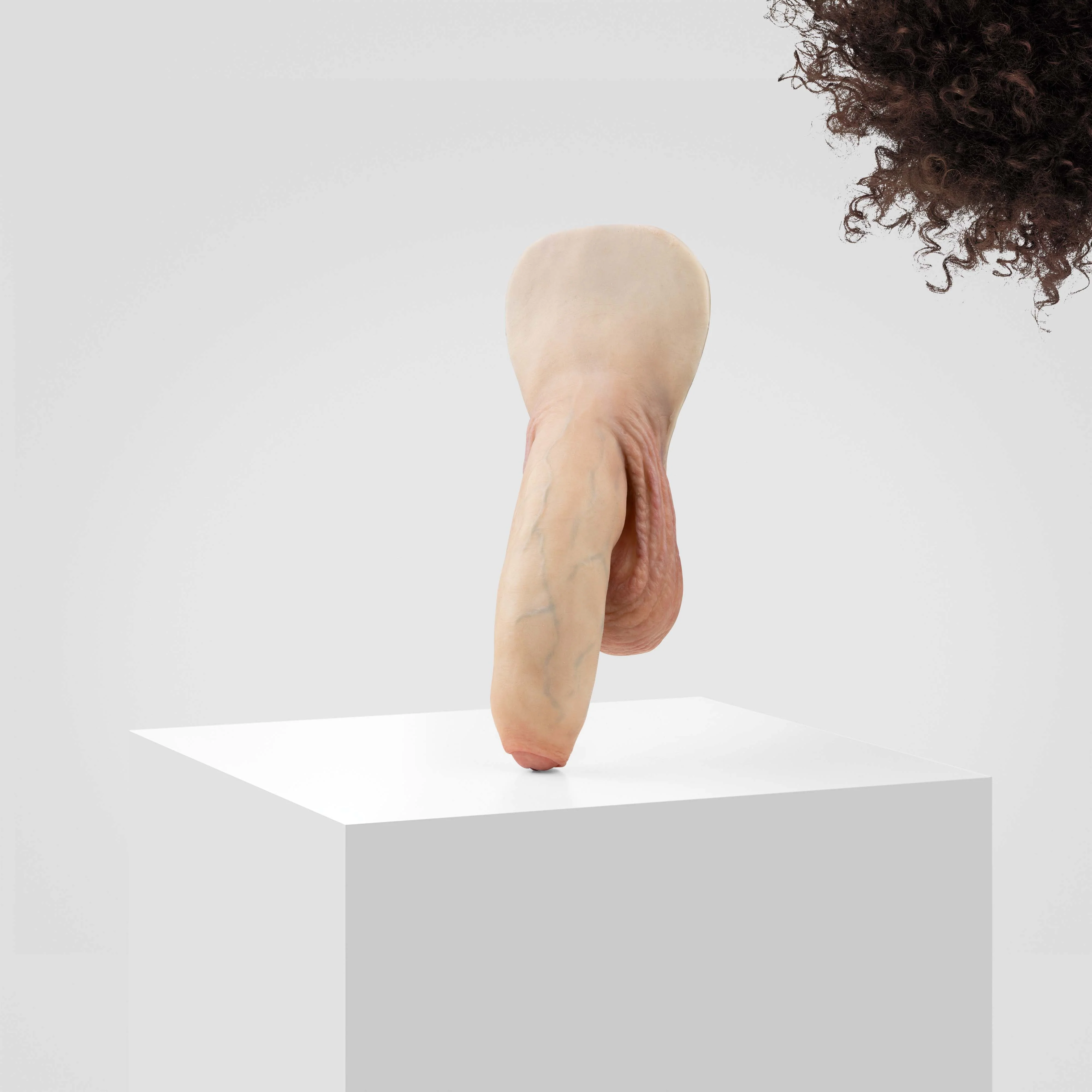 Emisil FL11 | Realistic Uncut FTM Packing Model - Image 98