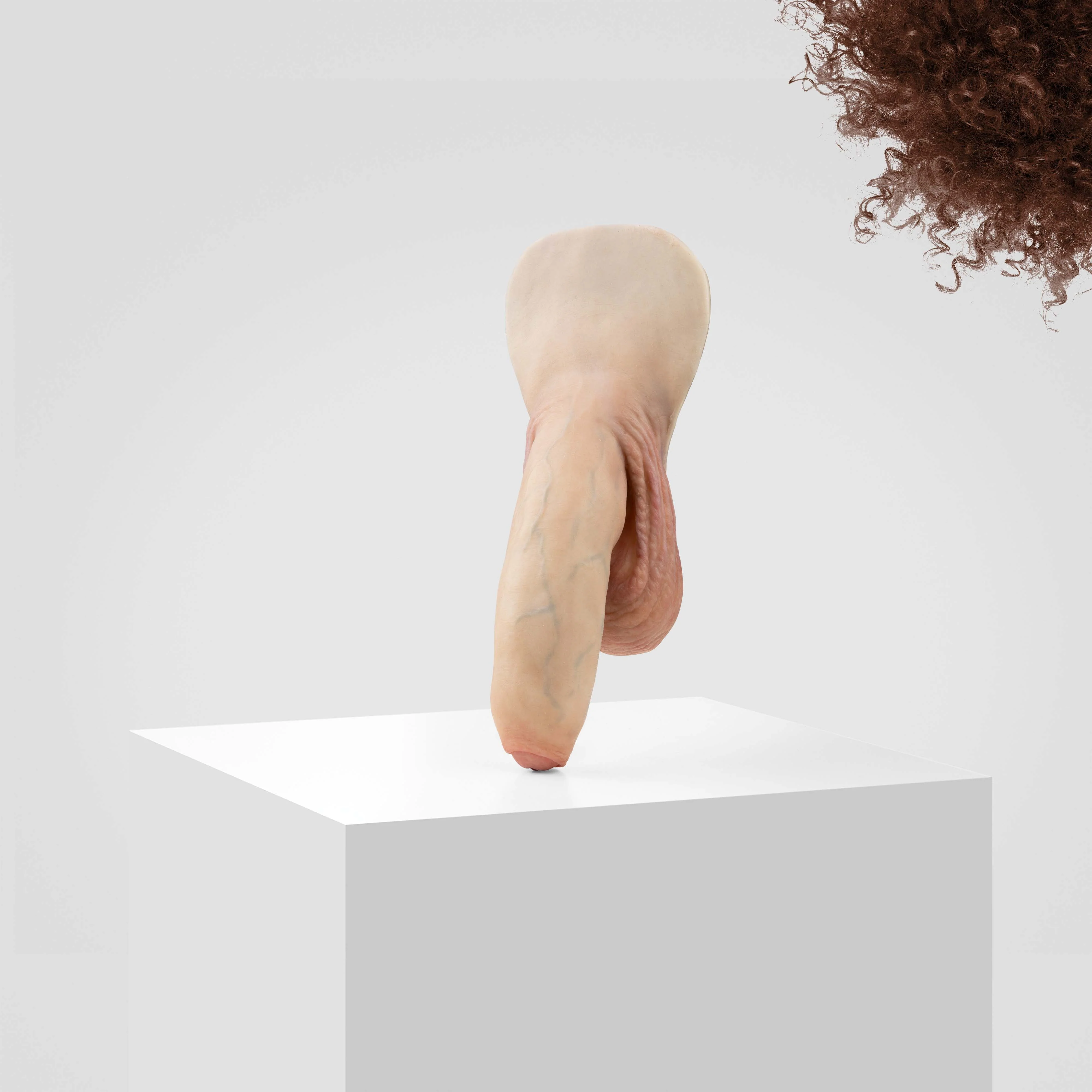 Emisil FL11 | Realistic Uncut FTM Packing Model - Image 99