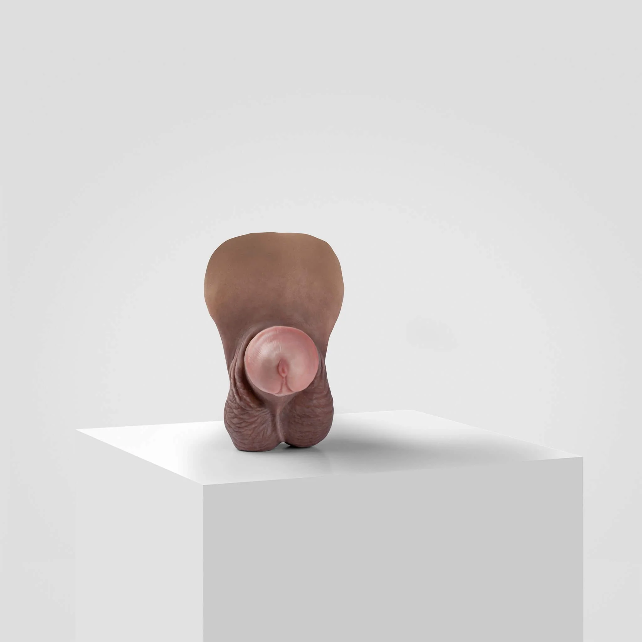 Emisil ER06 | Large Realistic FTM Pack & Play Model - Image 3