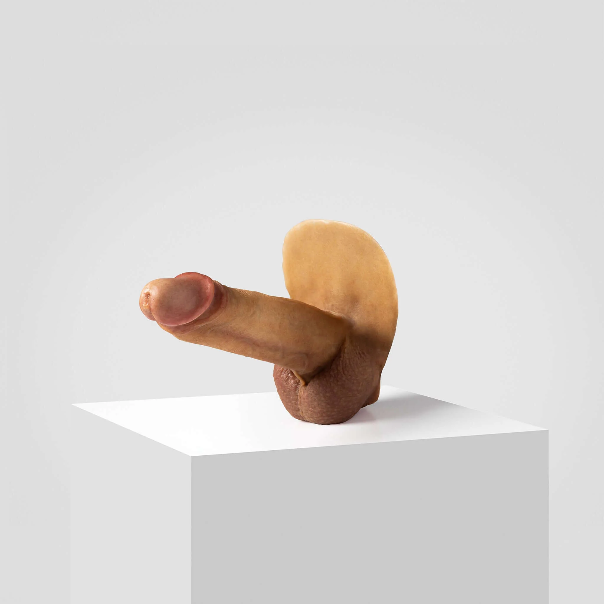 Emisil ER07 | Large Realistic FTM Pack & Play Model - Image 29
