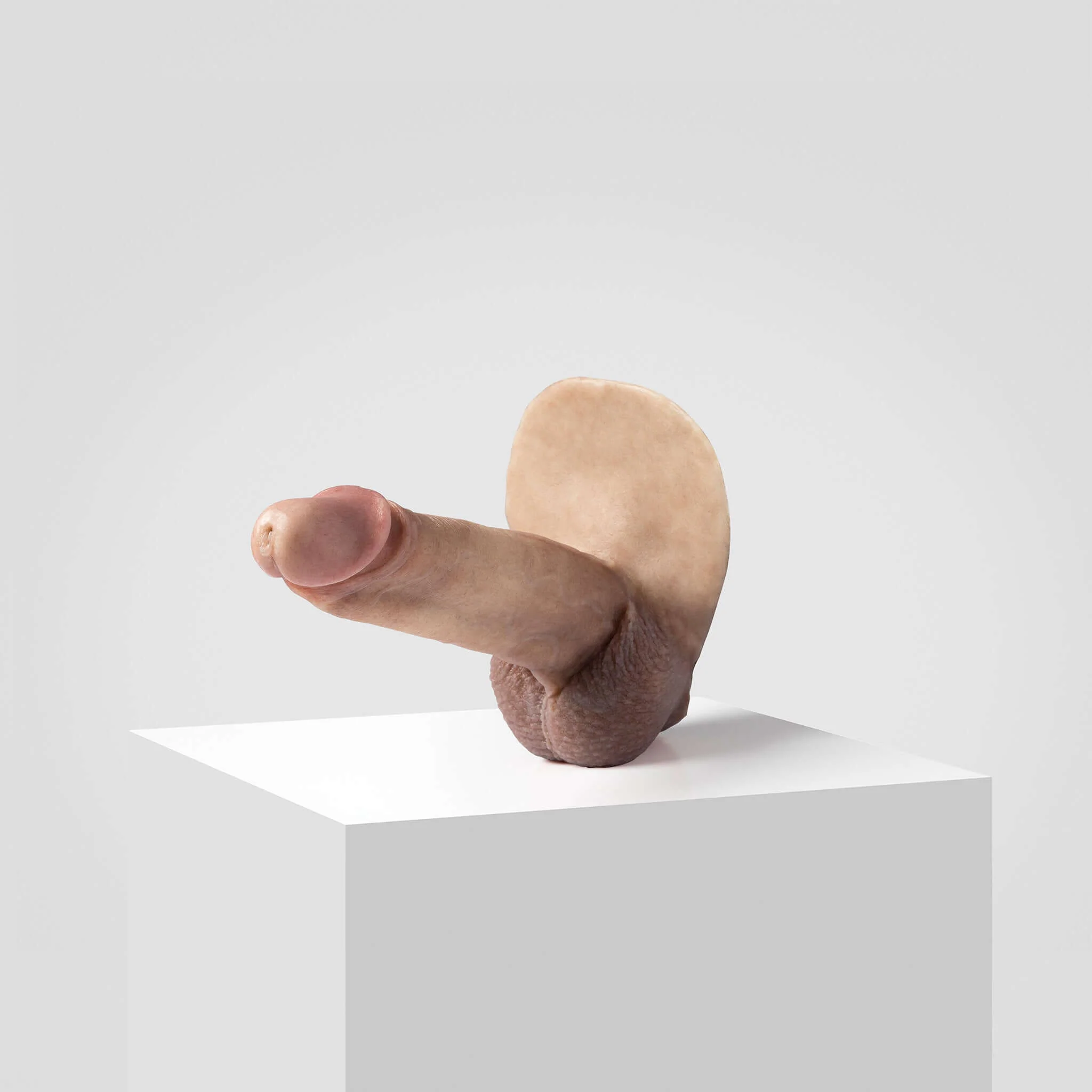 Emisil ER07 | Large Realistic FTM Pack & Play Model - Image 48