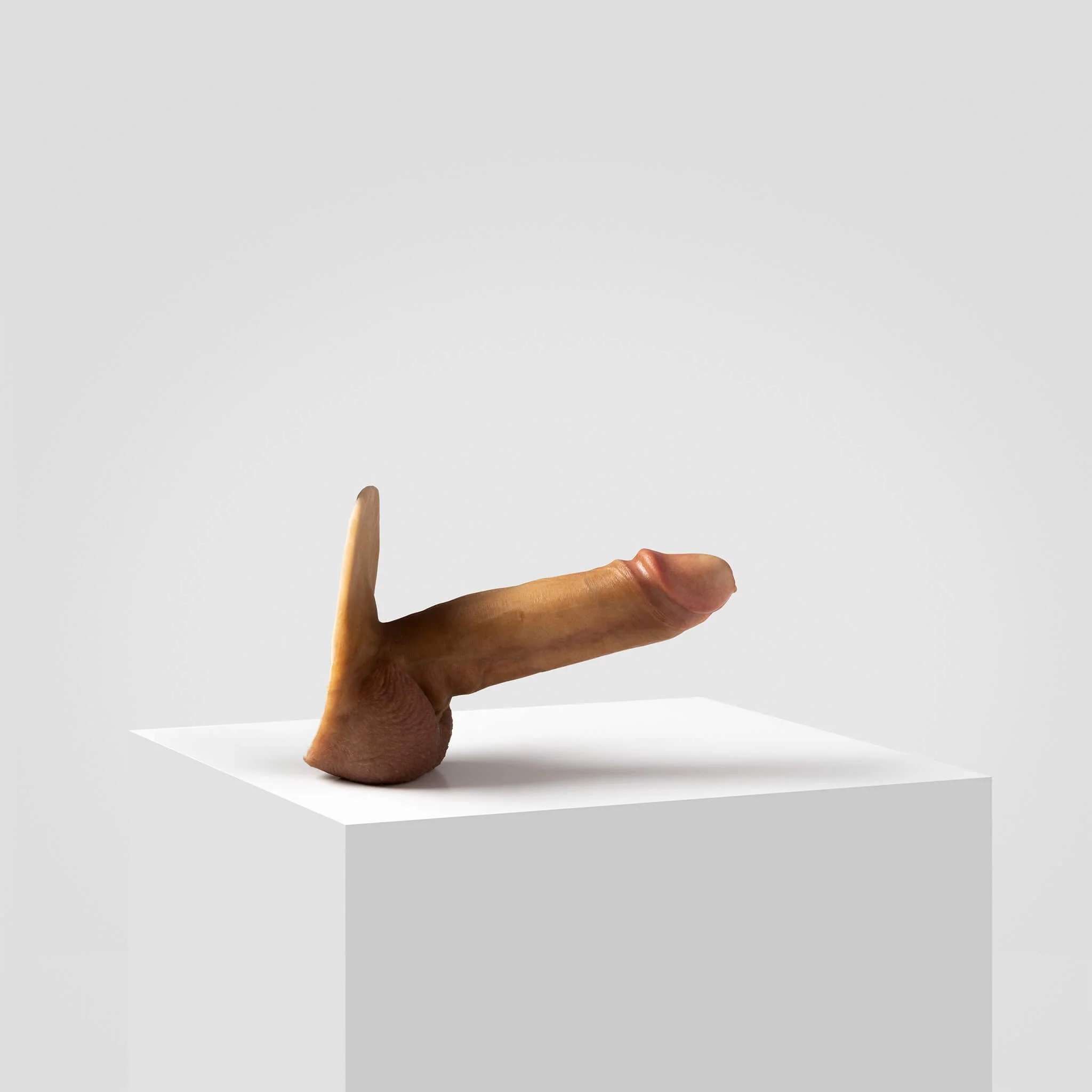 Emisil ER07 | Large Realistic FTM Pack & Play Model - Image 5