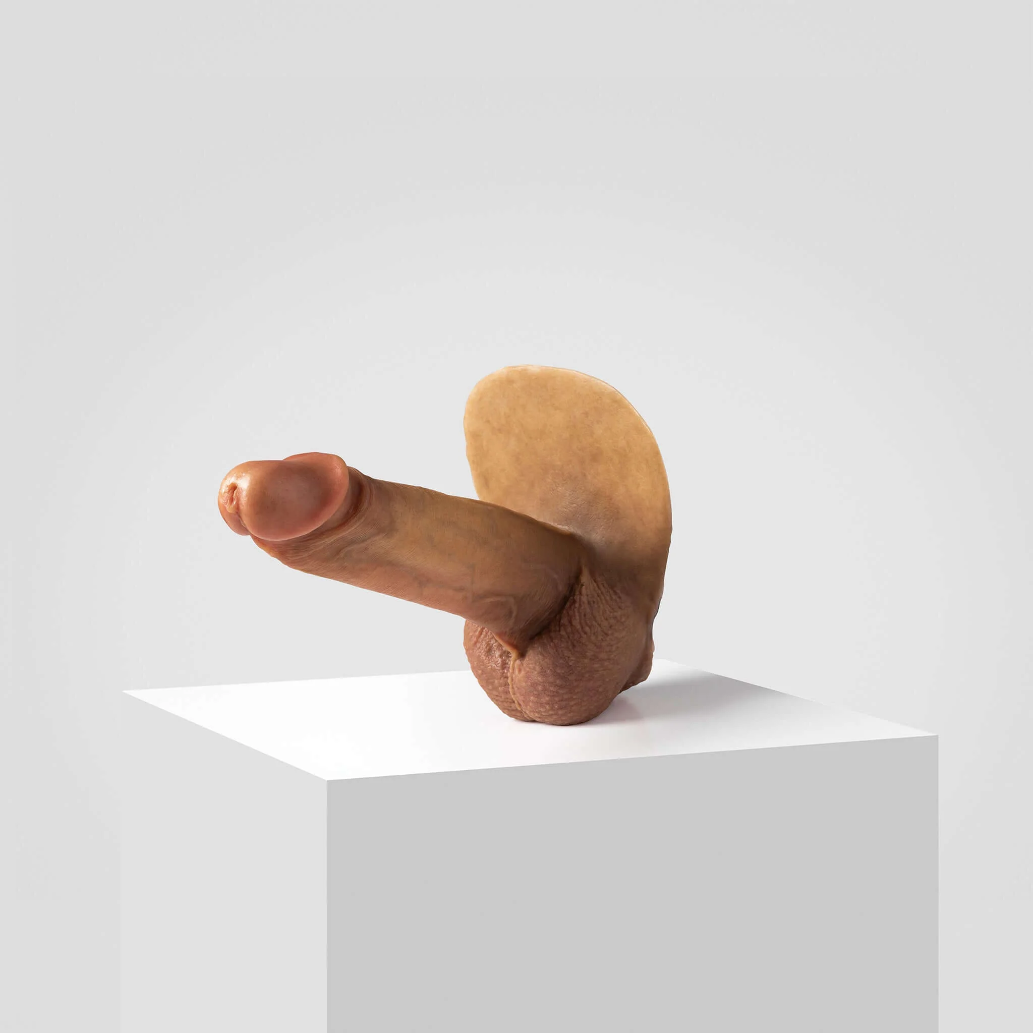 Emisil ER07 | Large Realistic FTM Pack & Play Model - Image 59