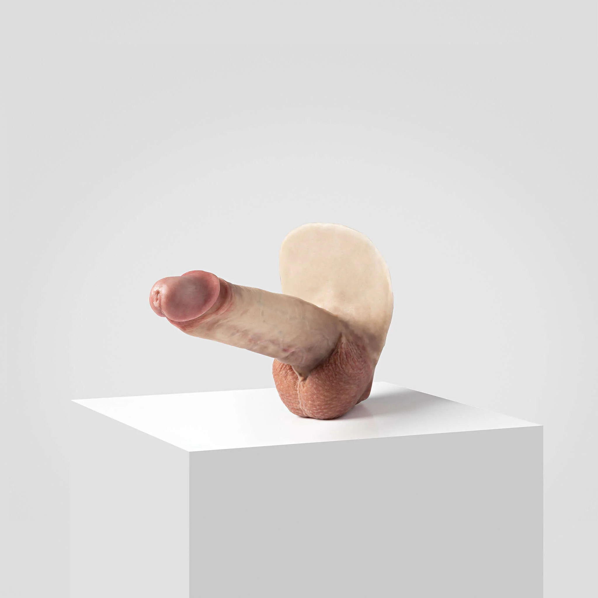 Emisil ER07 | Large Realistic FTM Pack & Play Model - Image 6