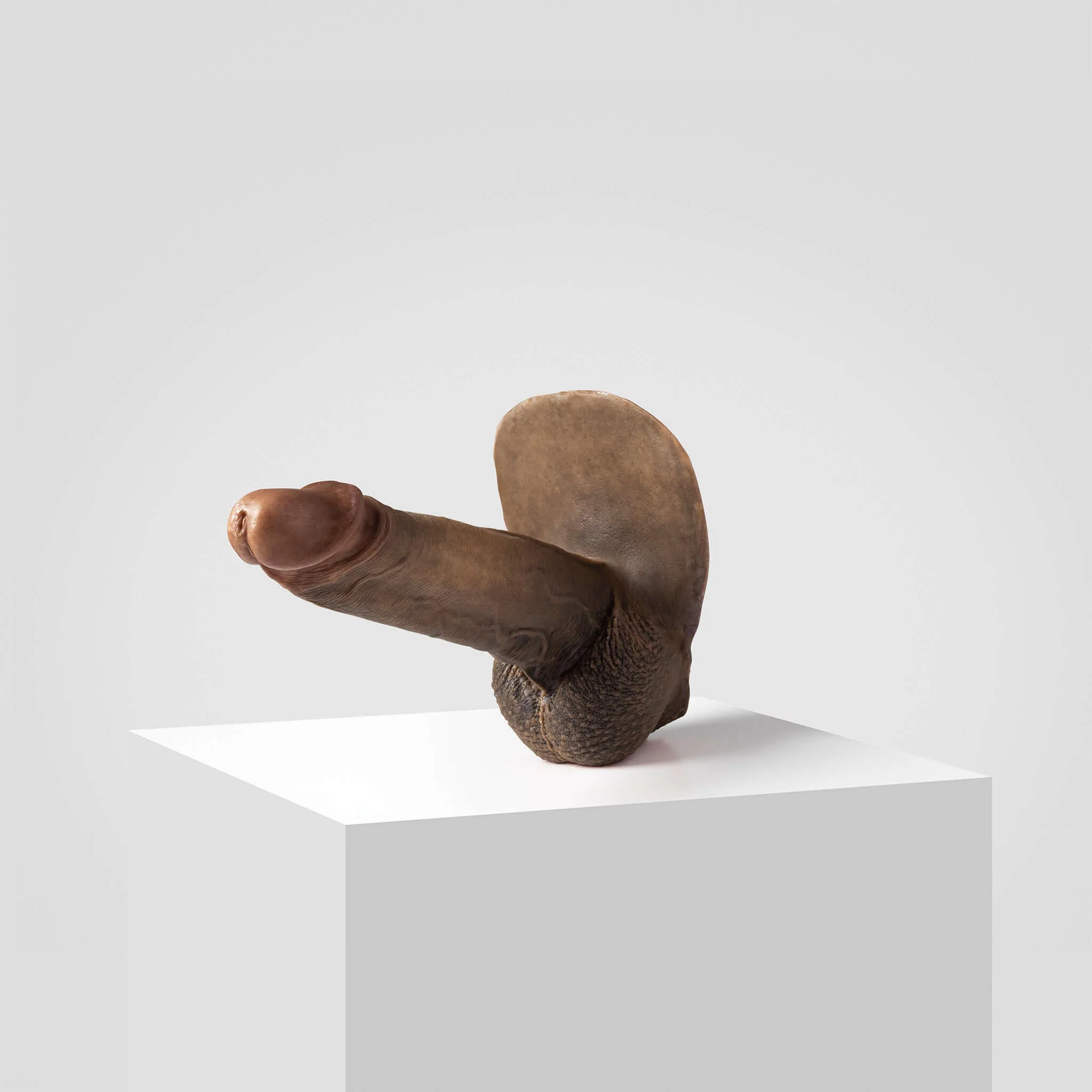 Emisil ER07 | Large Realistic FTM Pack & Play Model - Image 83