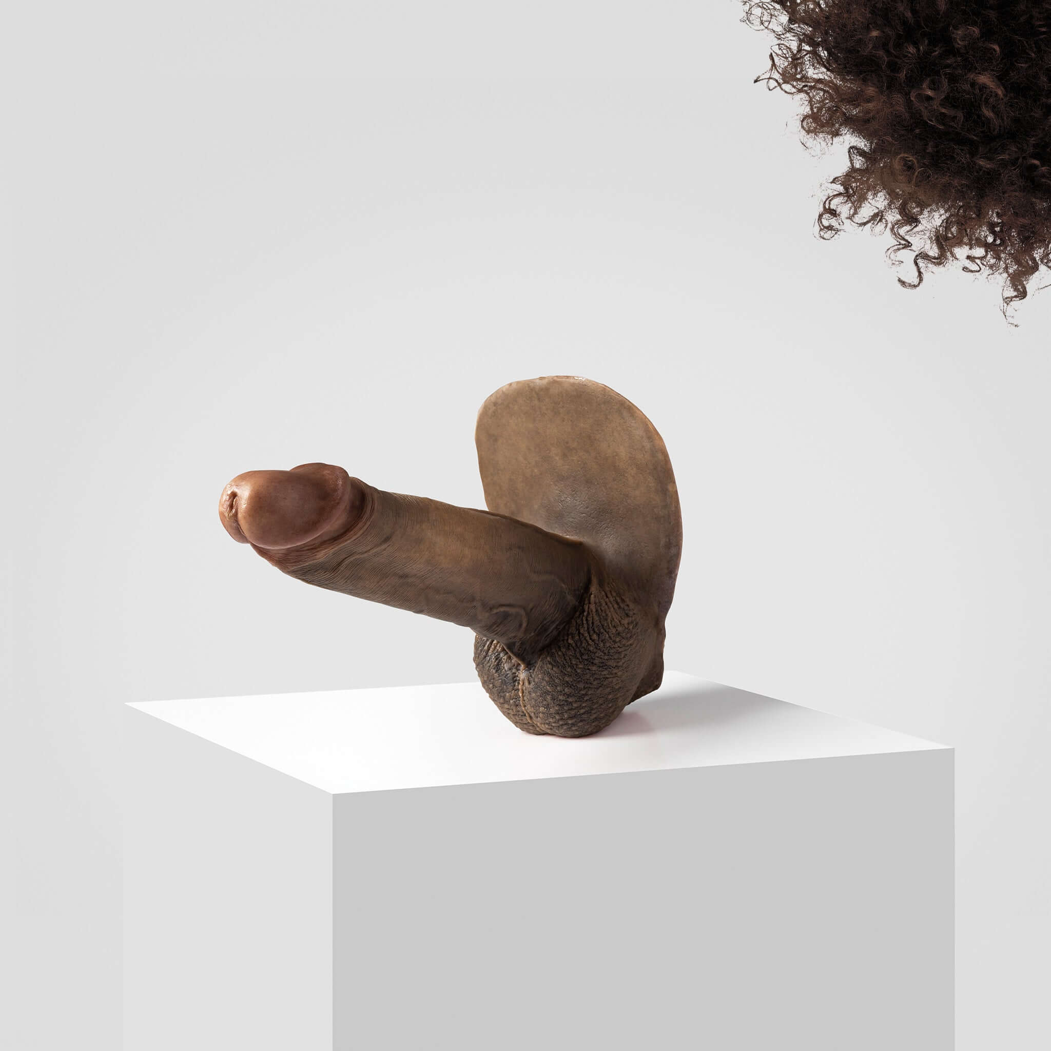 Emisil ER07 | Large Realistic FTM Pack & Play Model - Image 86