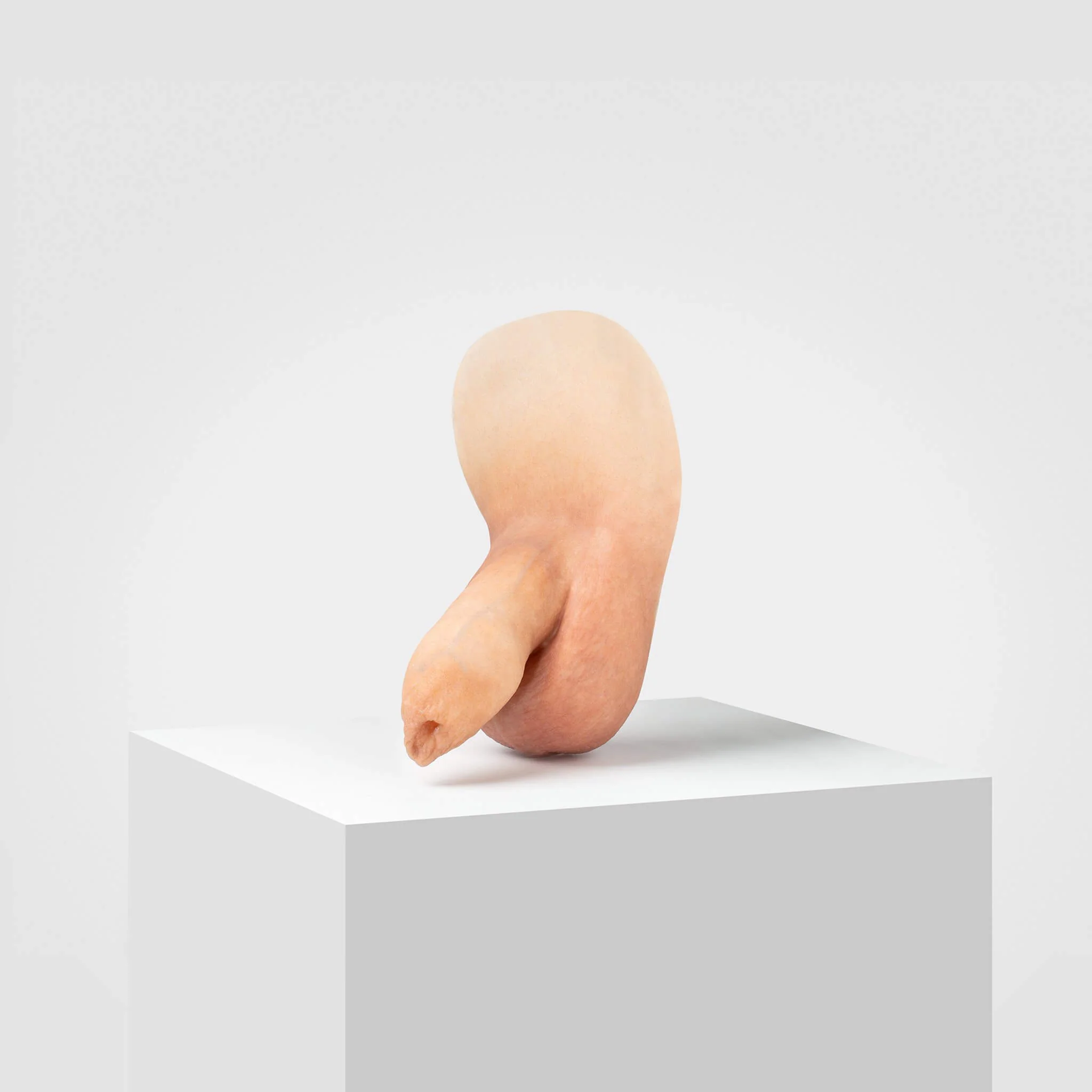 Emisil FL05 | Realistic Uncut FTM Packing Model - Image 18