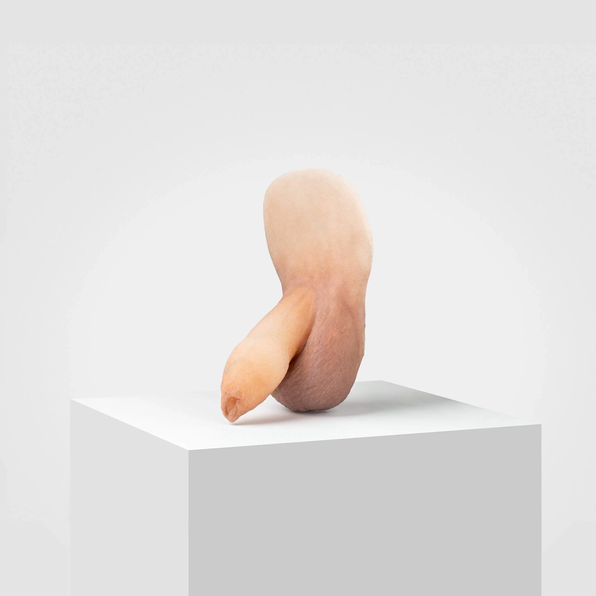 Emisil FL05 | Realistic Uncut FTM Packing Model - Image 24