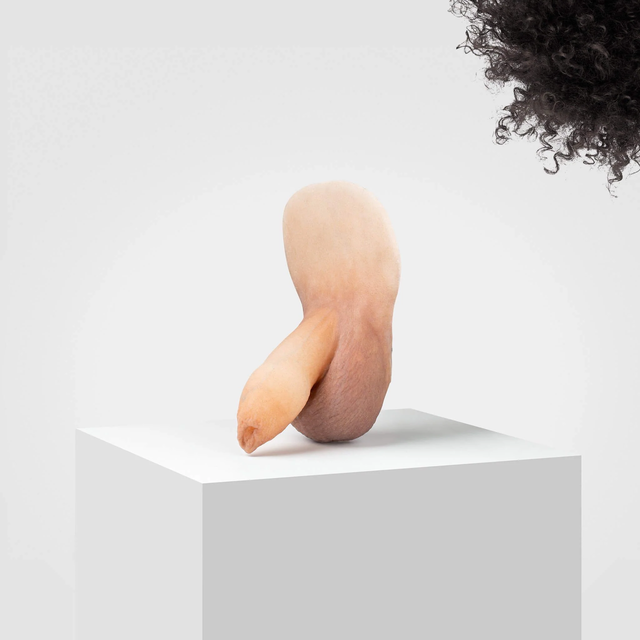 Emisil FL05 | Realistic Uncut FTM Packing Model - Image 25