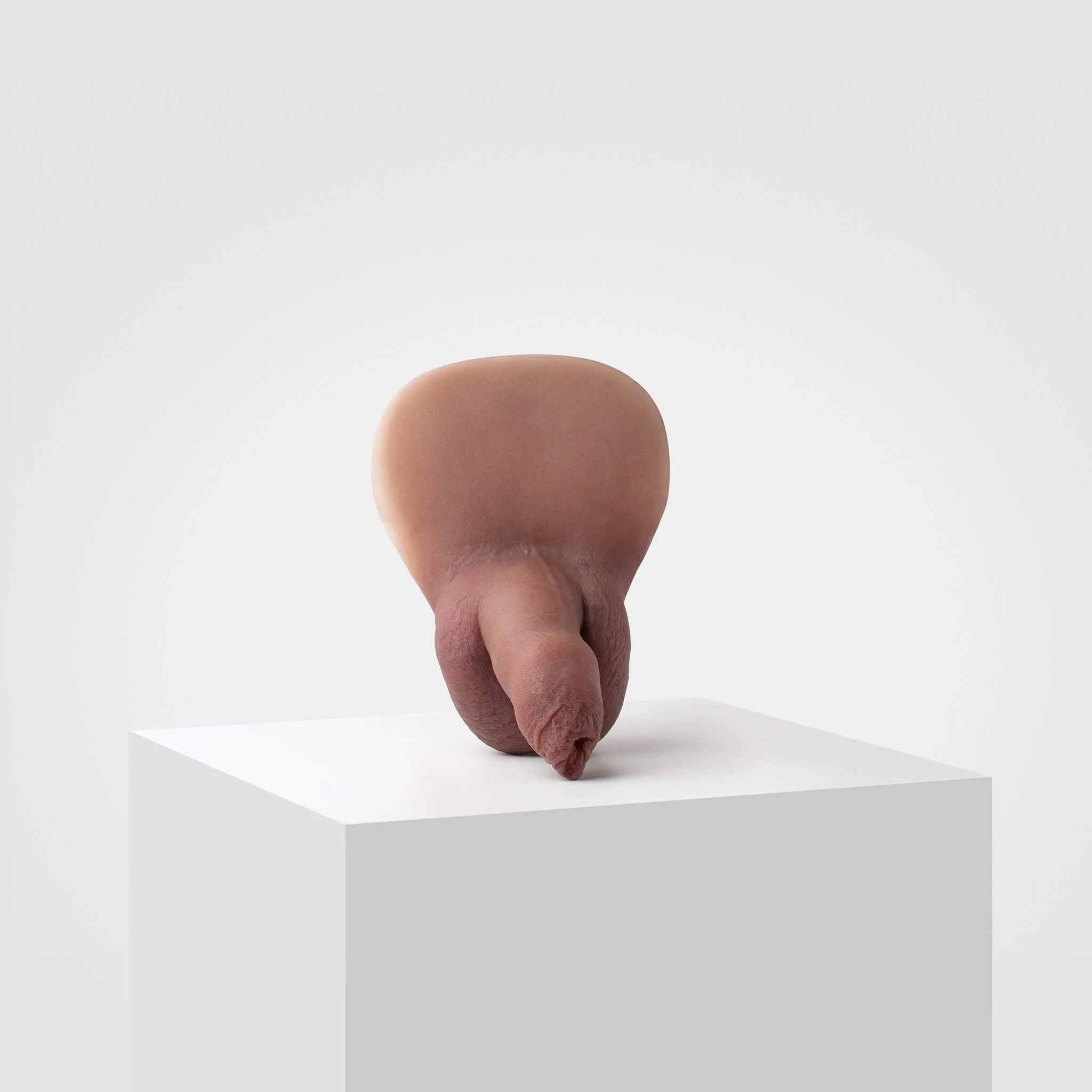 Emisil FL05 | Realistic Uncut FTM Packing Model - Image 3