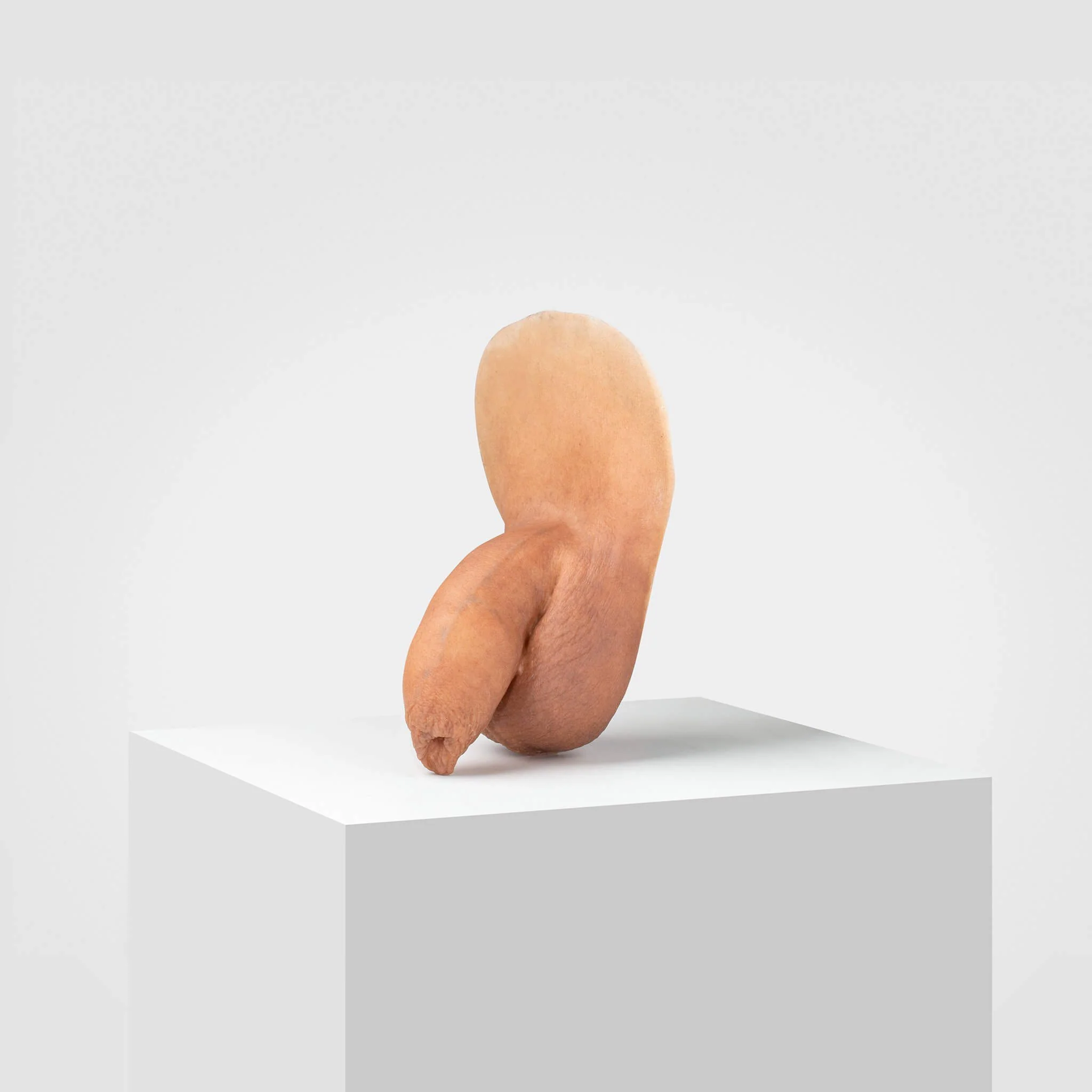 Emisil FL05 | Realistic Uncut FTM Packing Model - Image 30