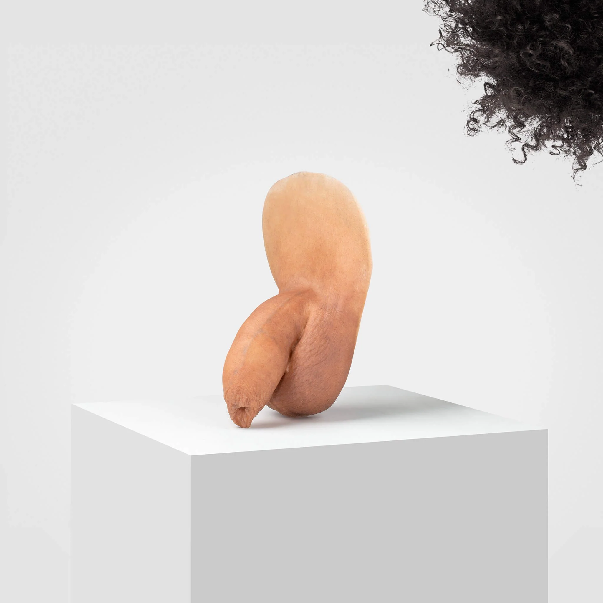 Emisil FL05 | Realistic Uncut FTM Packing Model - Image 31