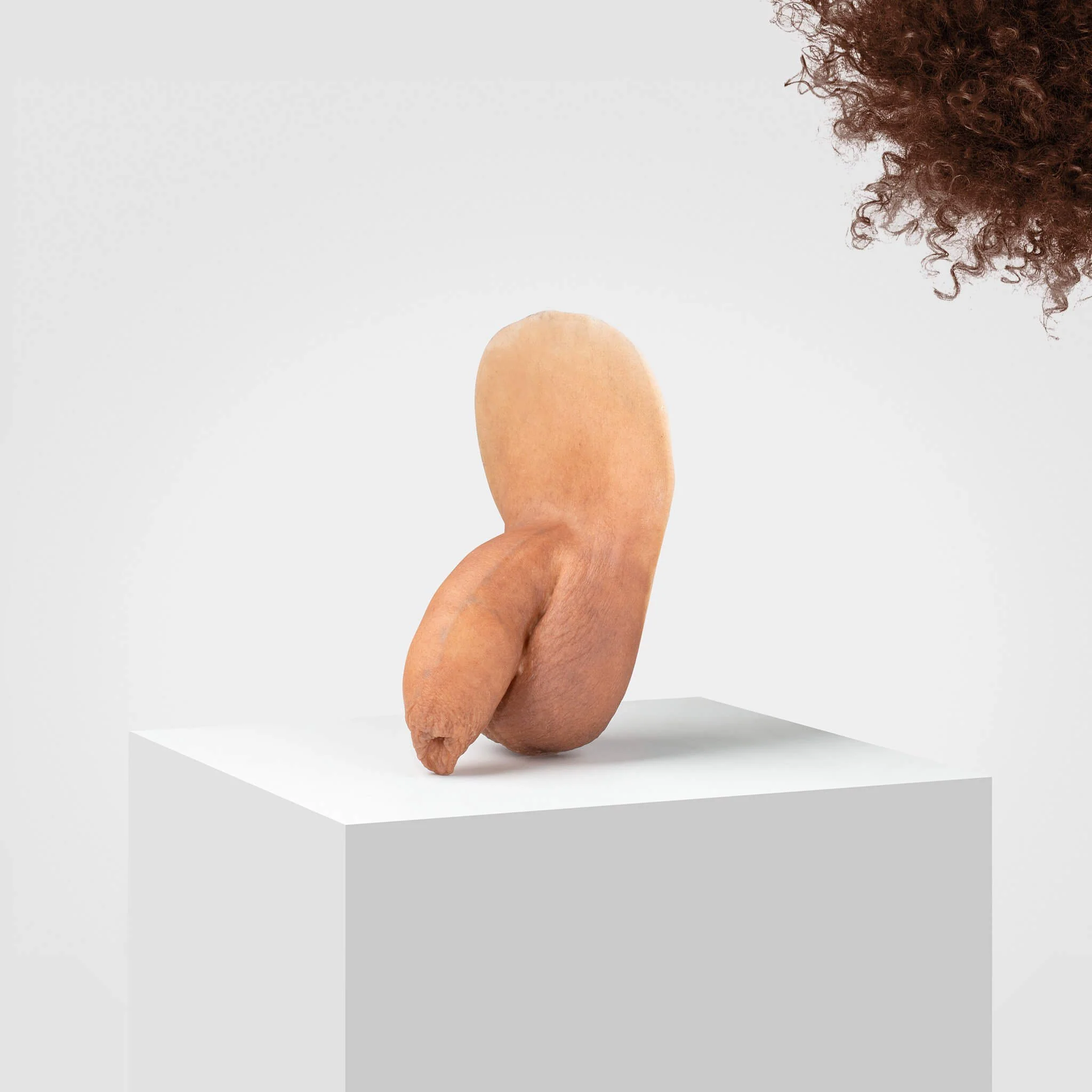 Emisil FL05 | Realistic Uncut FTM Packing Model - Image 33