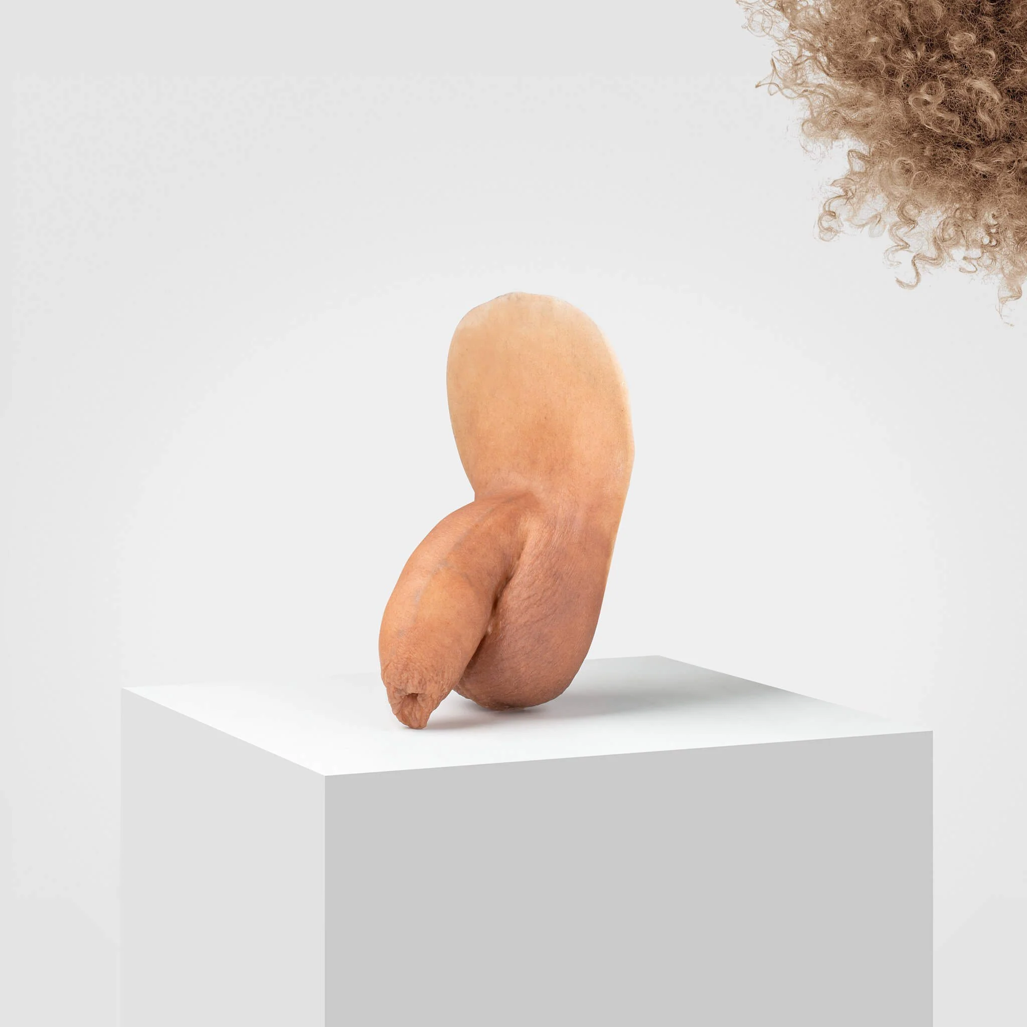 Emisil FL05 | Realistic Uncut FTM Packing Model - Image 34