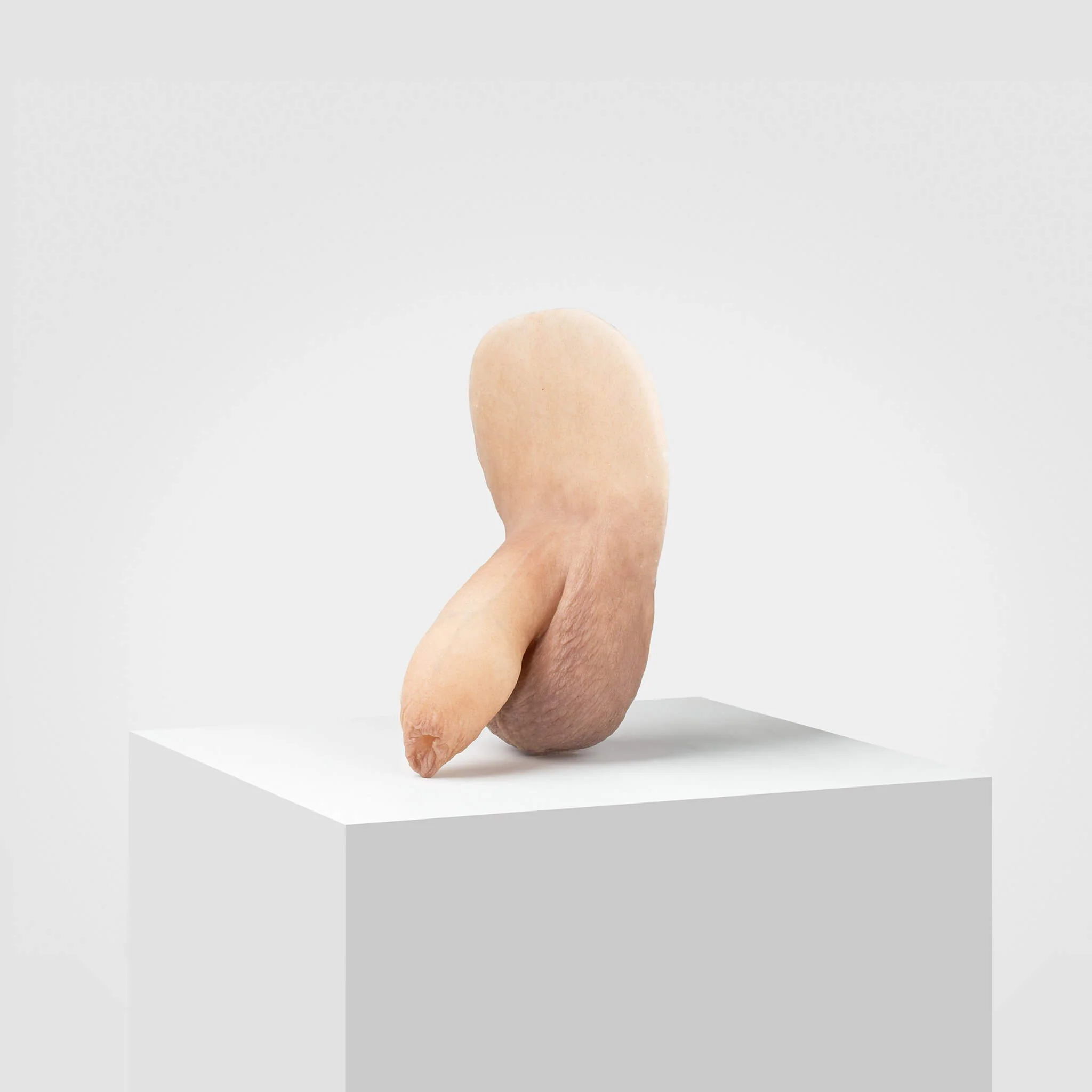 Emisil FL05 | Realistic Uncut FTM Packing Model - Image 36