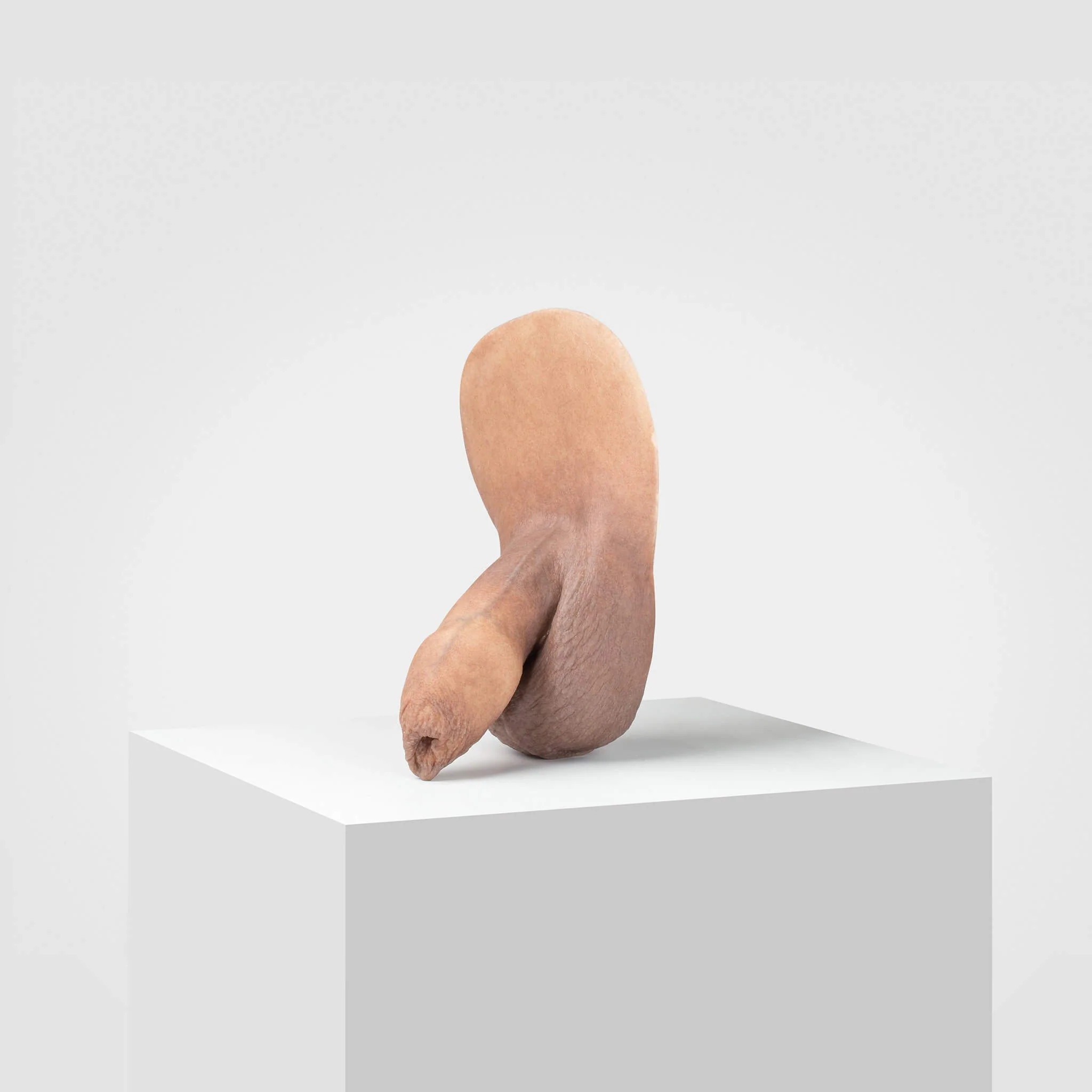 Emisil FL05 | Realistic Uncut FTM Packing Model - Image 42