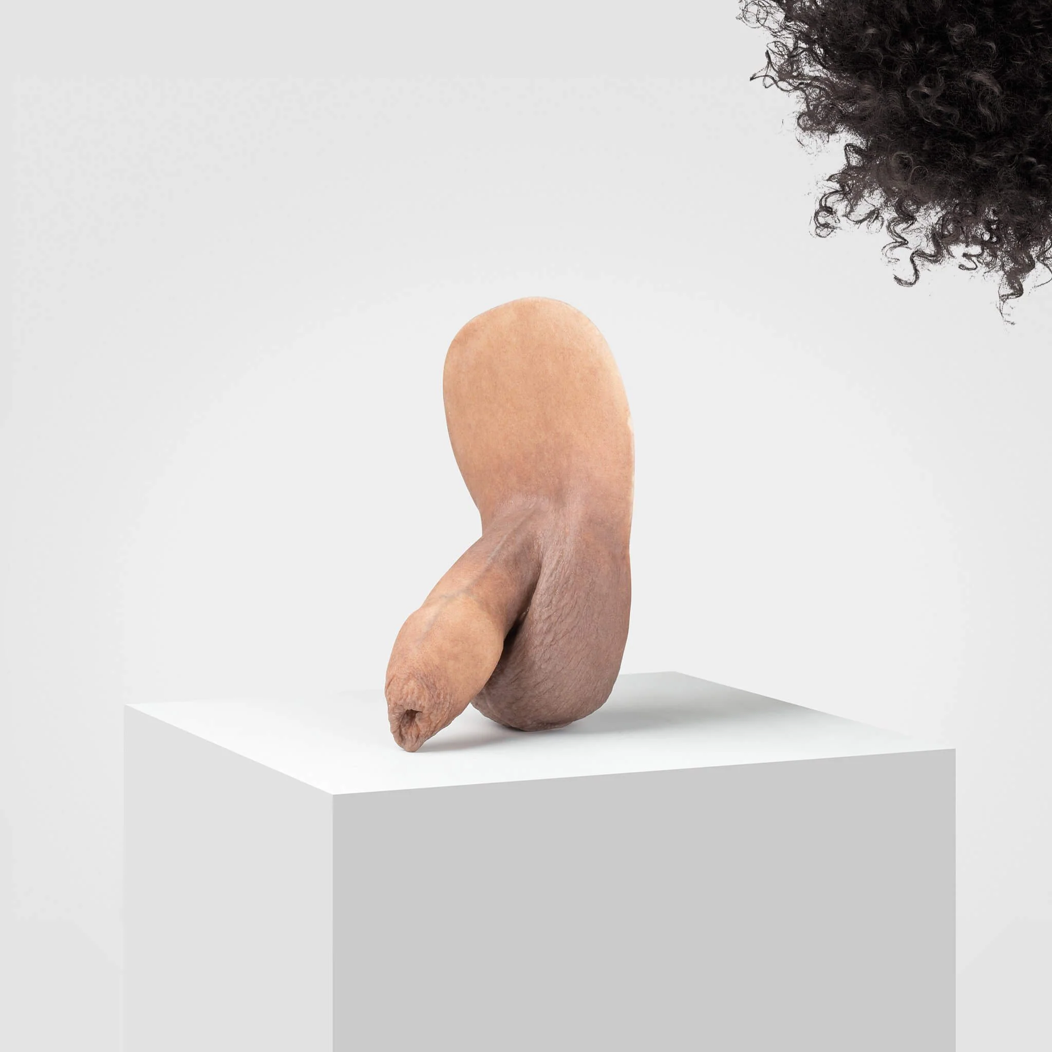 Emisil FL05 | Realistic Uncut FTM Packing Model - Image 43