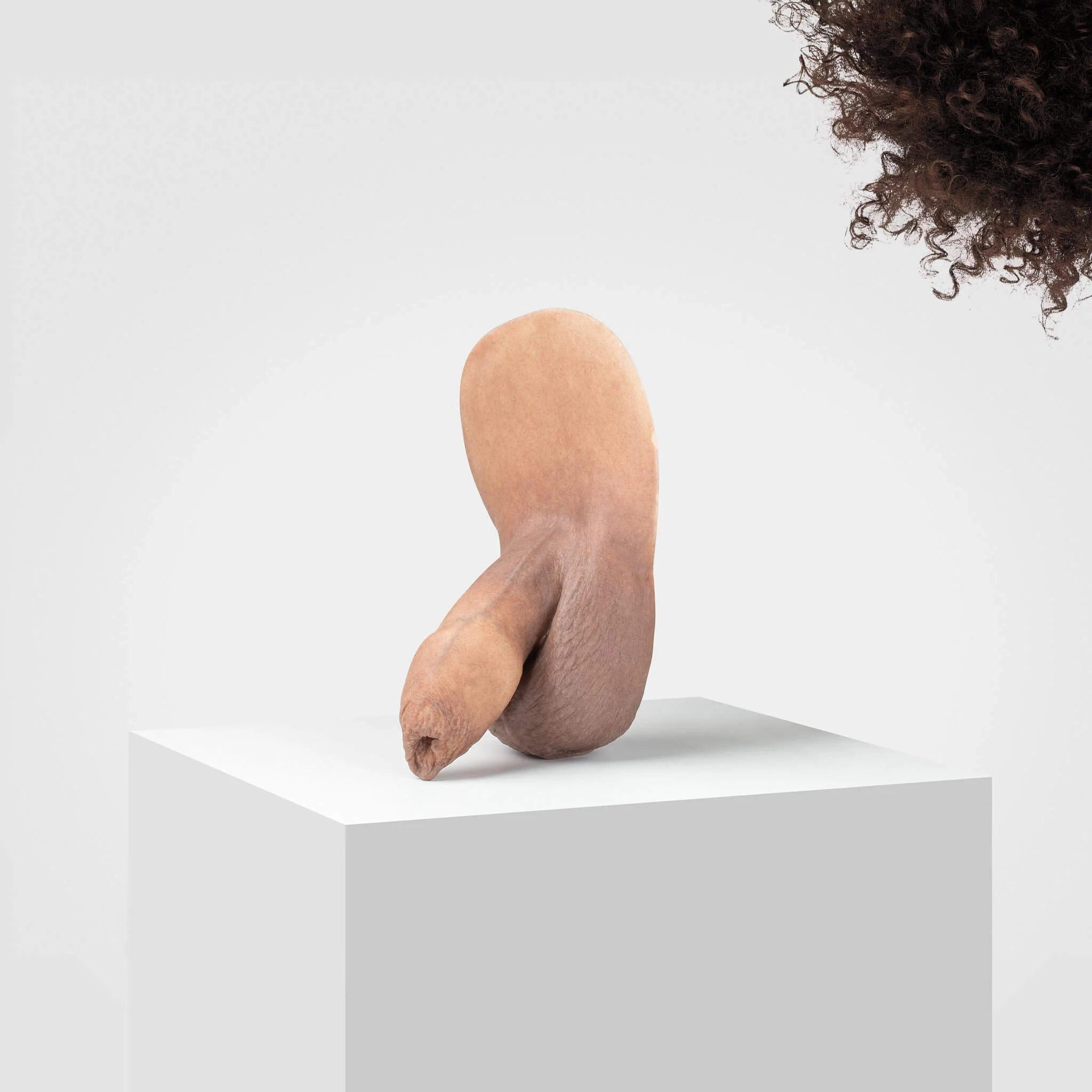Emisil FL05 | Realistic Uncut FTM Packing Model - Image 44