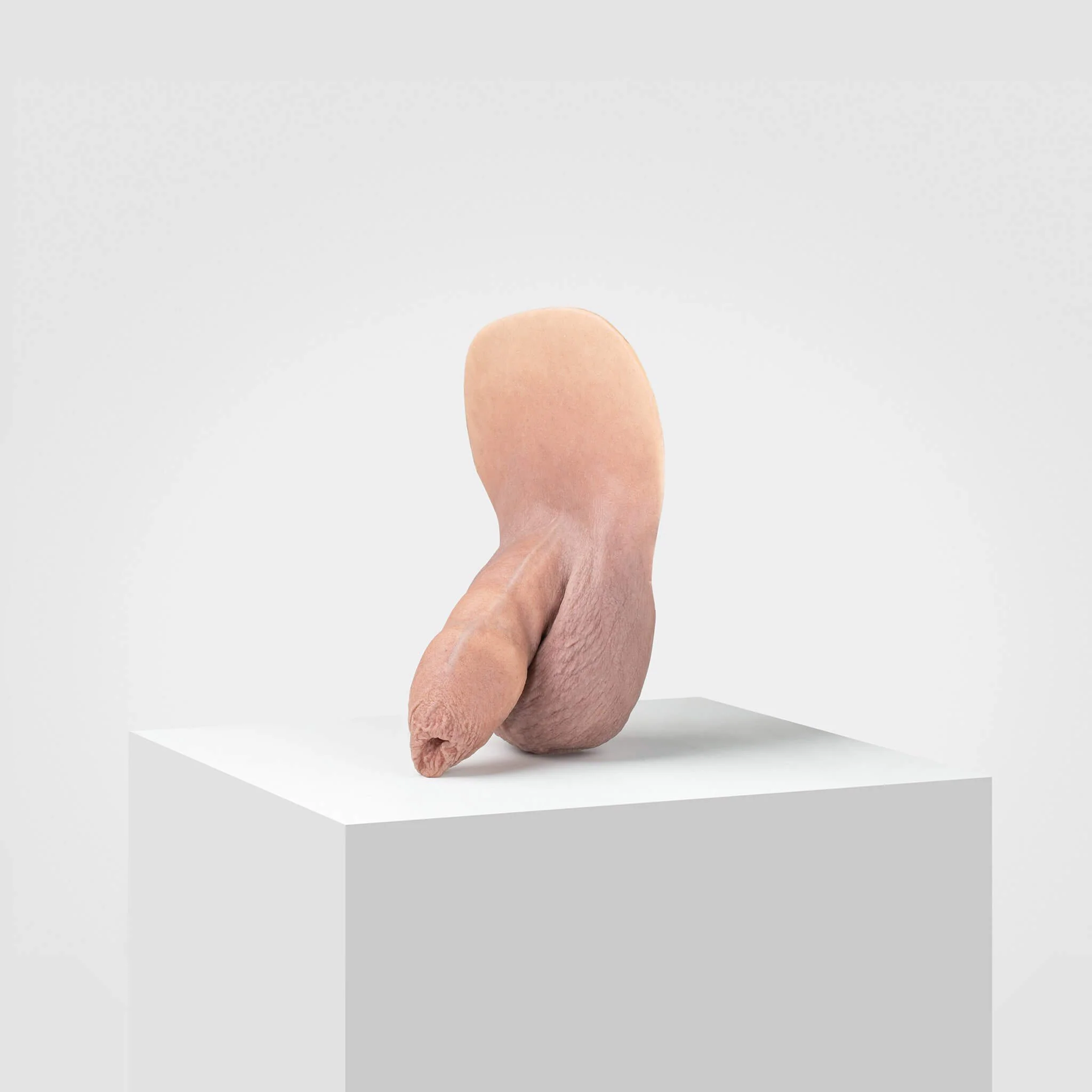 Emisil FL05 | Realistic Uncut FTM Packing Model - Image 54