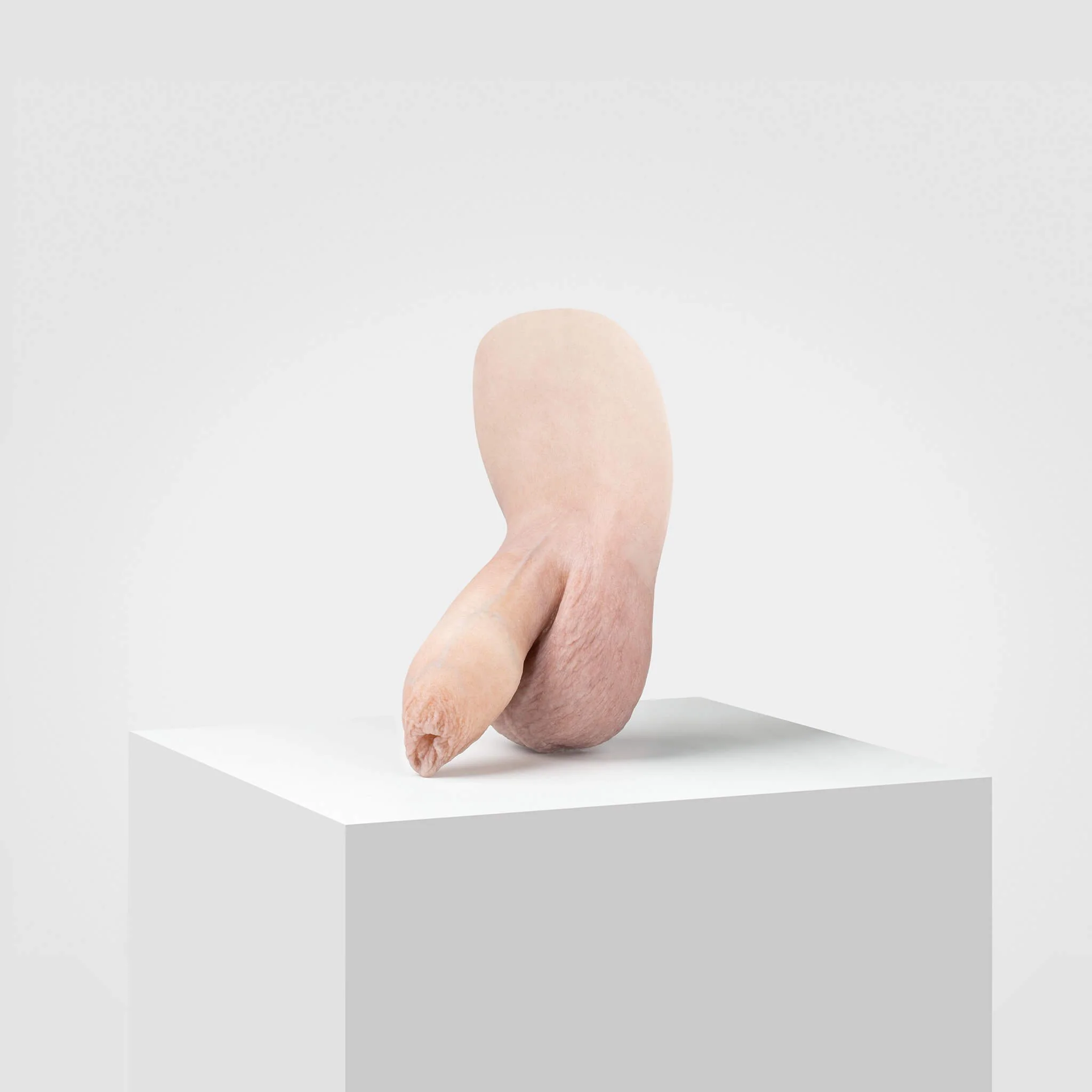 Emisil FL05 | Realistic Uncut FTM Packing Model - Image 6