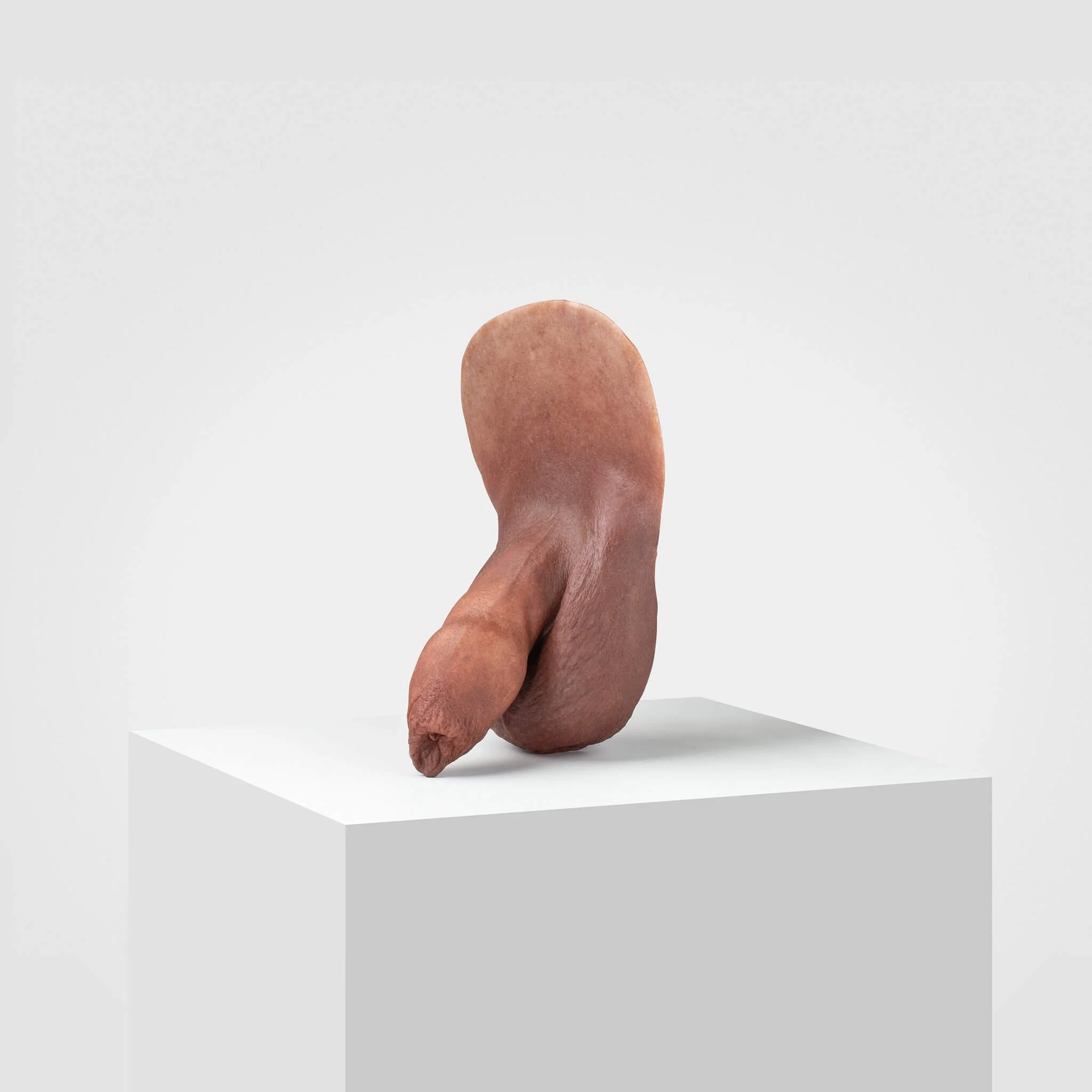 Emisil FL05 | Realistic Uncut FTM Packing Model - Image 66