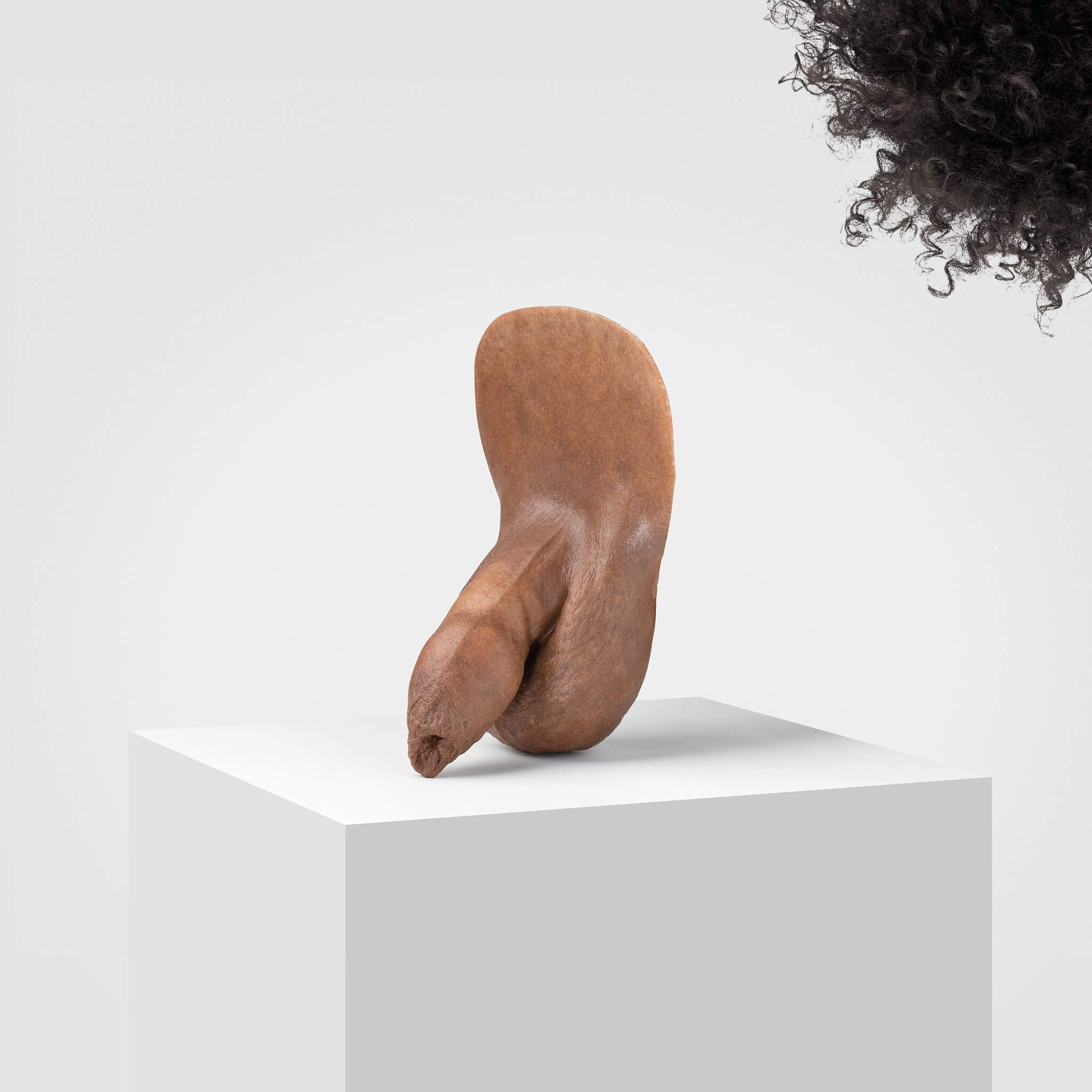Emisil FL05 | Realistic Uncut FTM Packing Model - Image 73