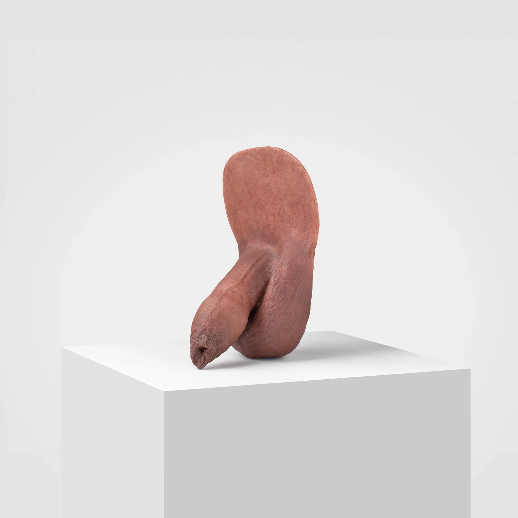Emisil FL05 | Realistic Uncut FTM Packing Model - Image 78