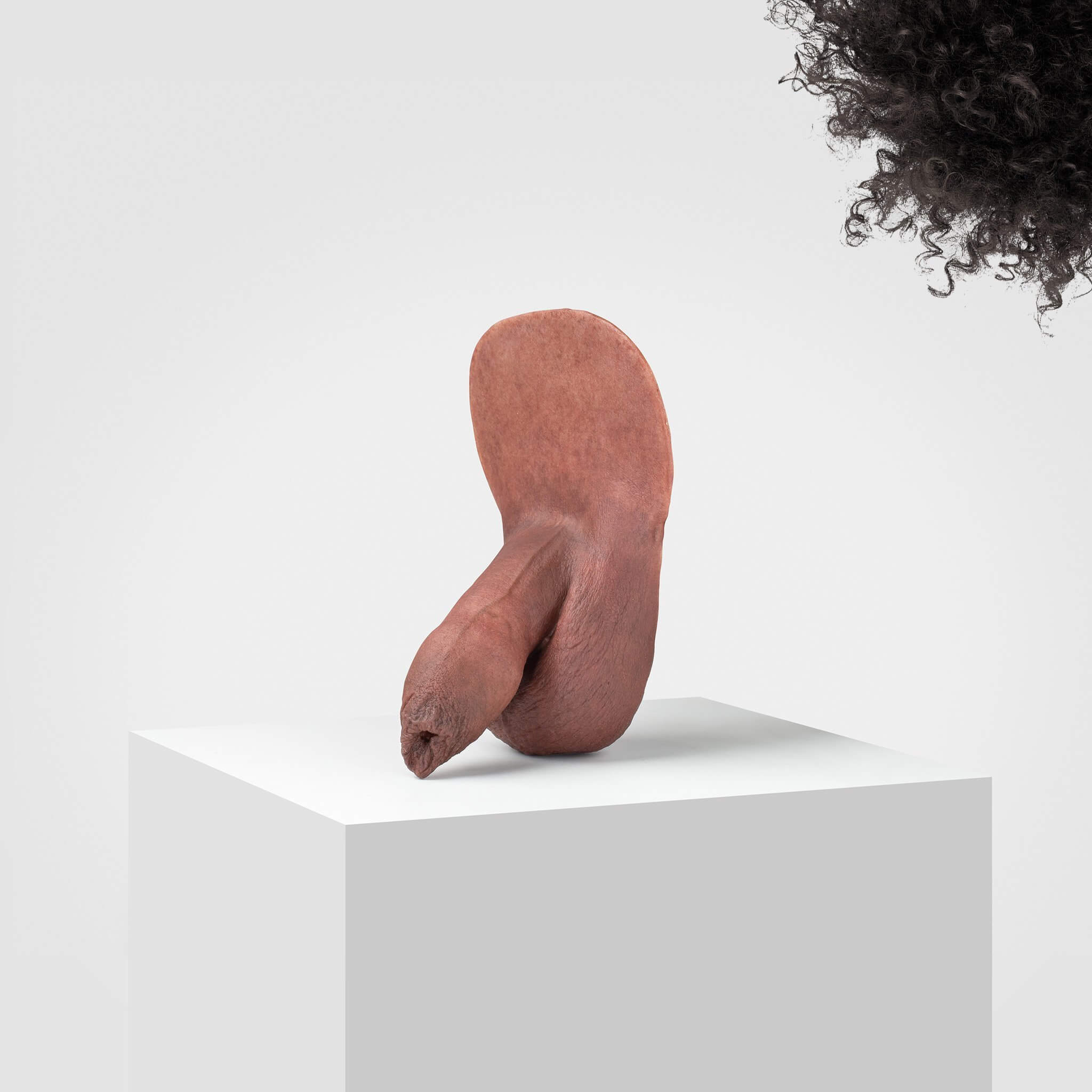 Emisil FL05 | Realistic Uncut FTM Packing Model - Image 79