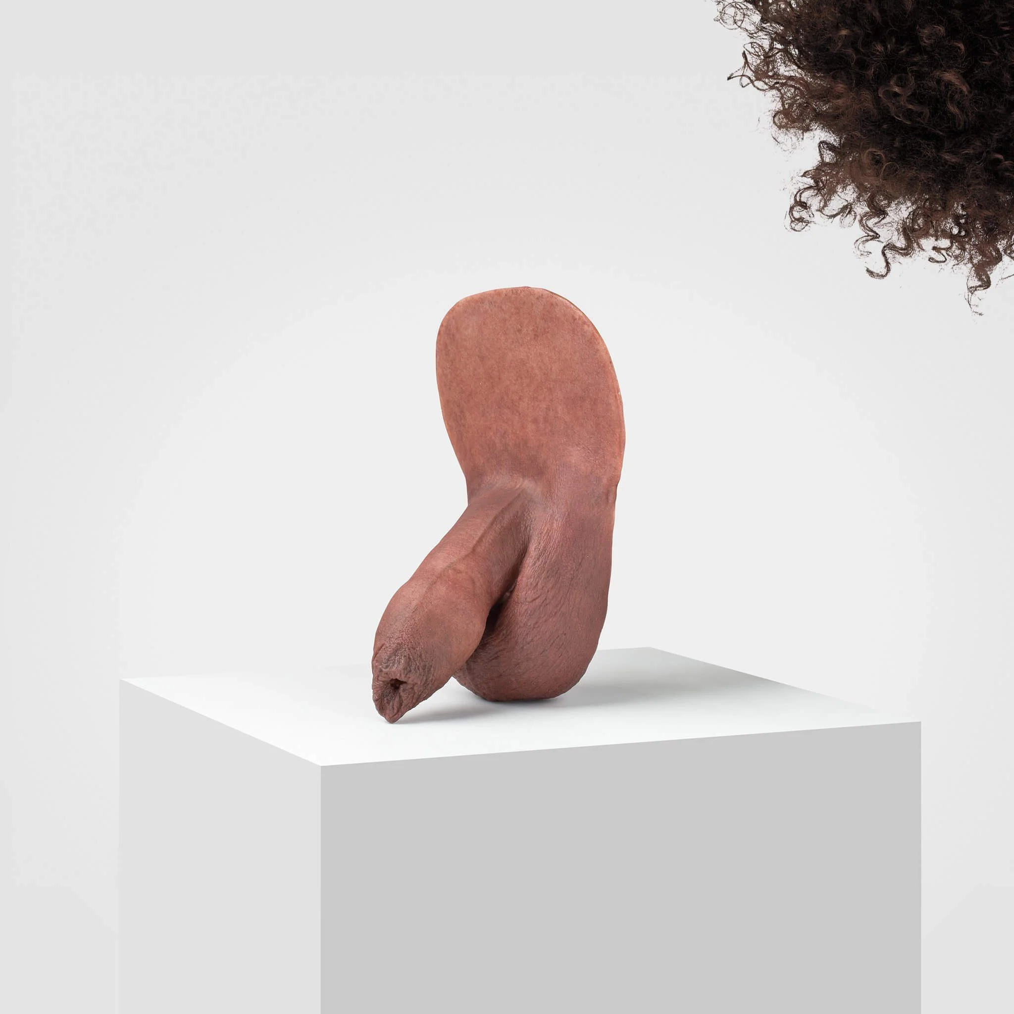 Emisil FL05 | Realistic Uncut FTM Packing Model - Image 80