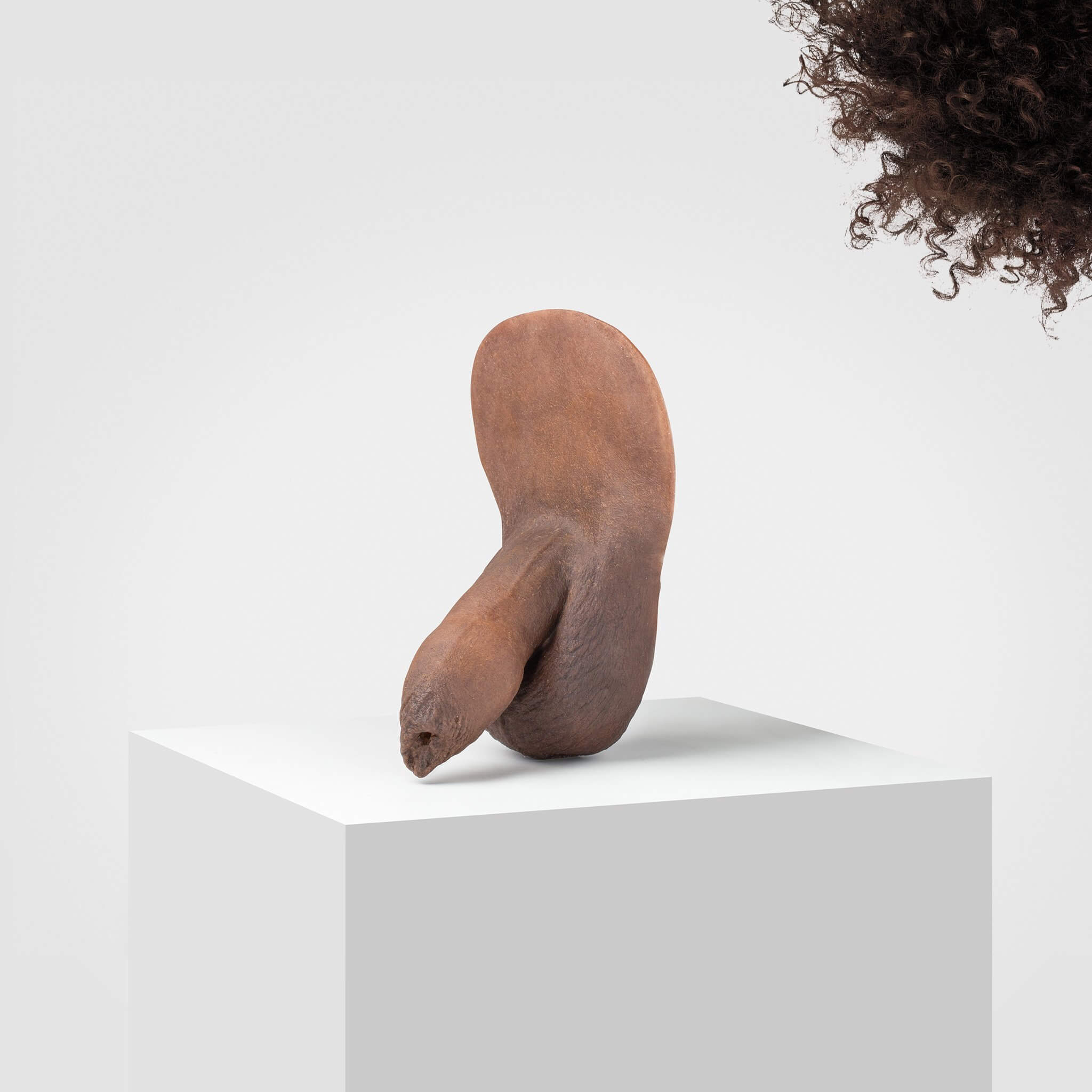Emisil FL05 | Realistic Uncut FTM Packing Model - Image 86