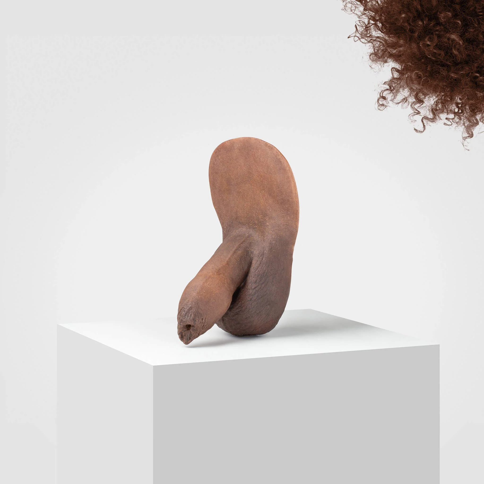 Emisil FL05 | Realistic Uncut FTM Packing Model - Image 87